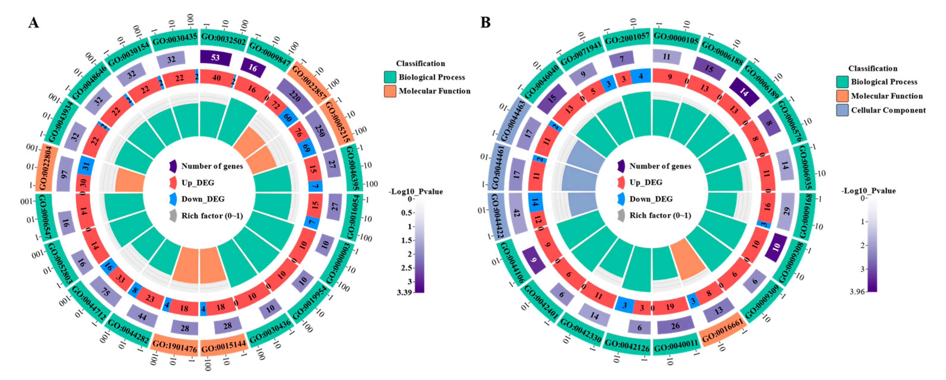 Preprints 83435 g005