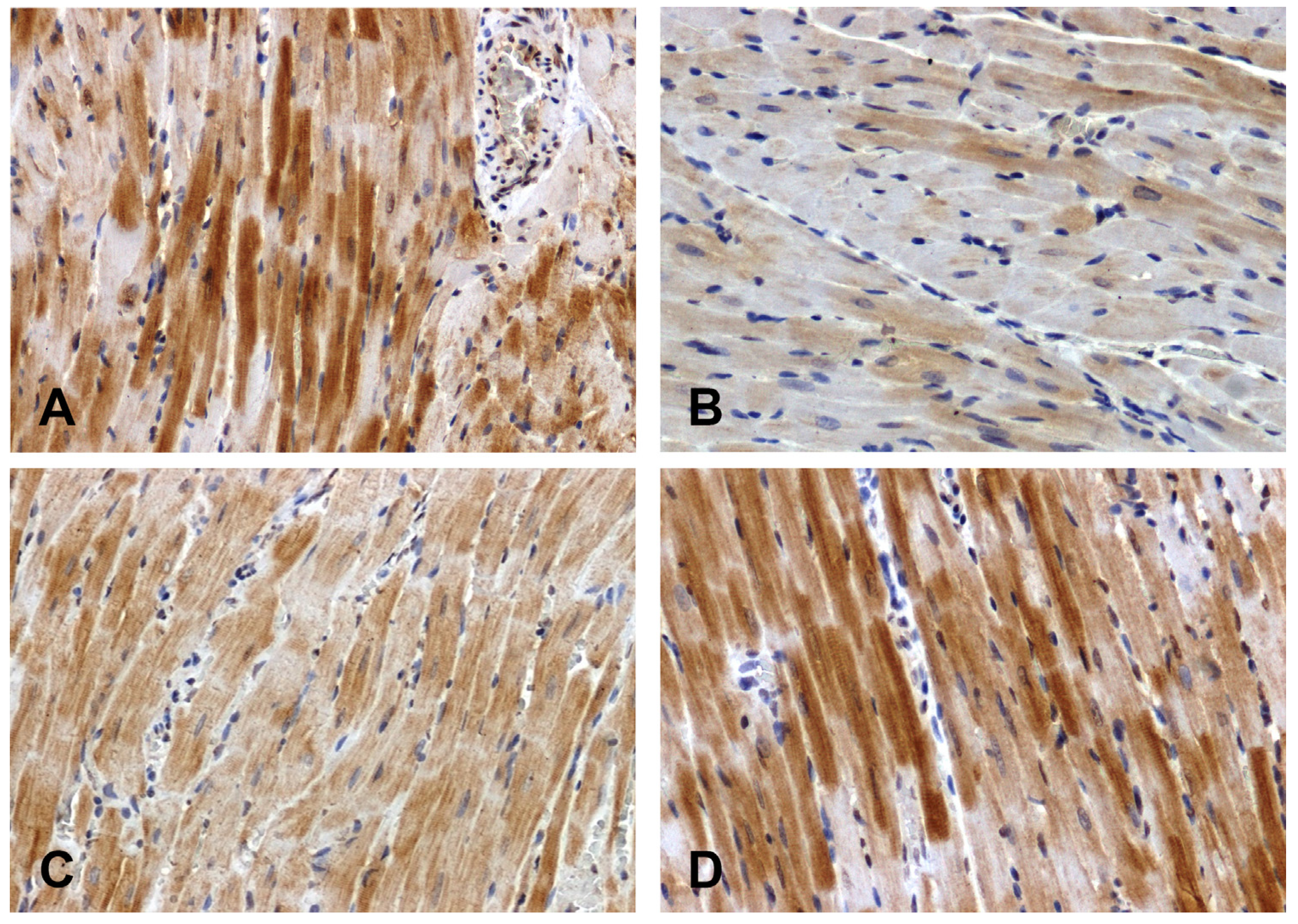 Preprints 107003 g002