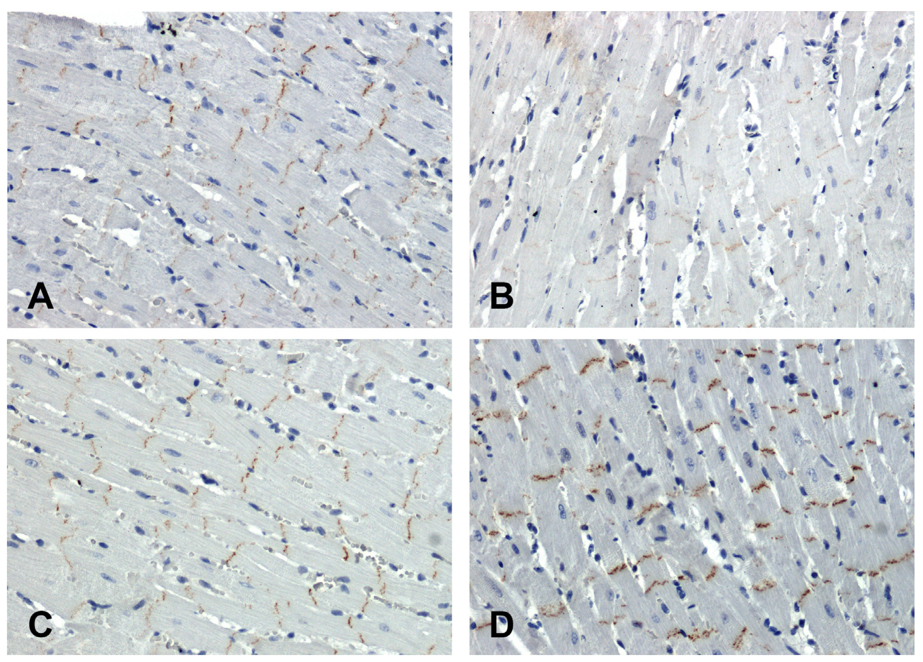 Preprints 107003 g004