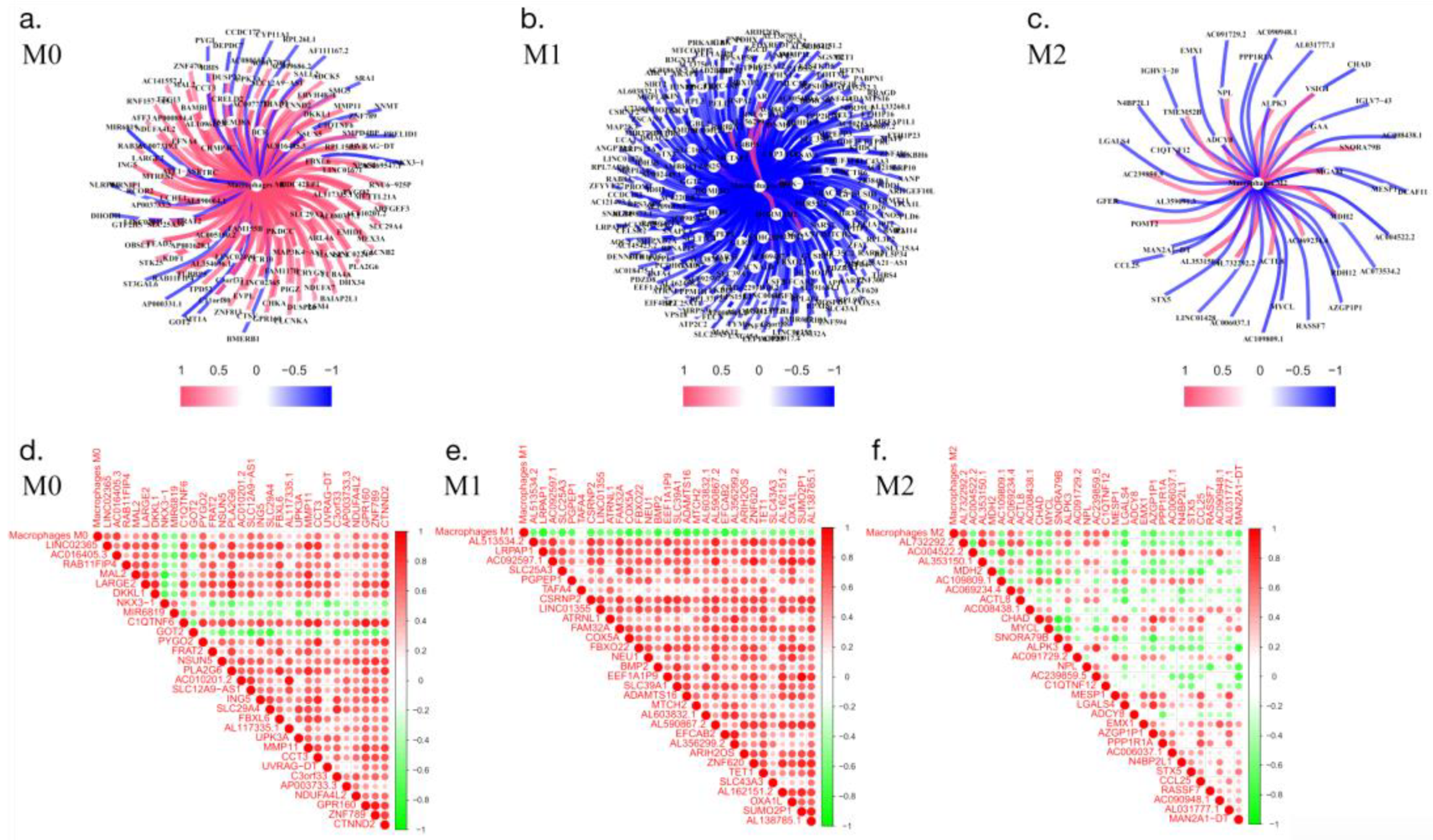 Preprints 96162 g003