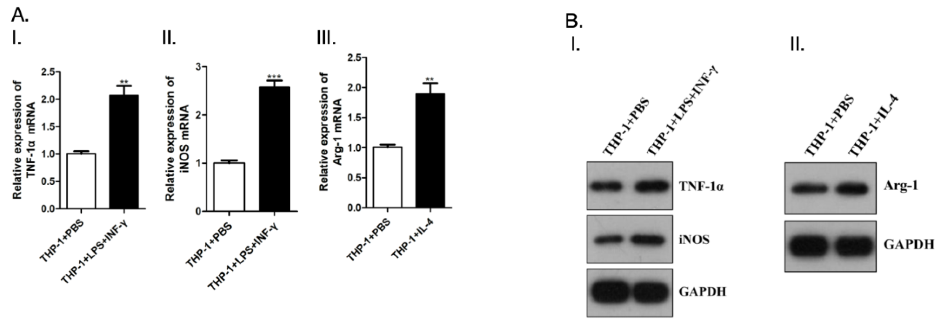 Preprints 96162 g013