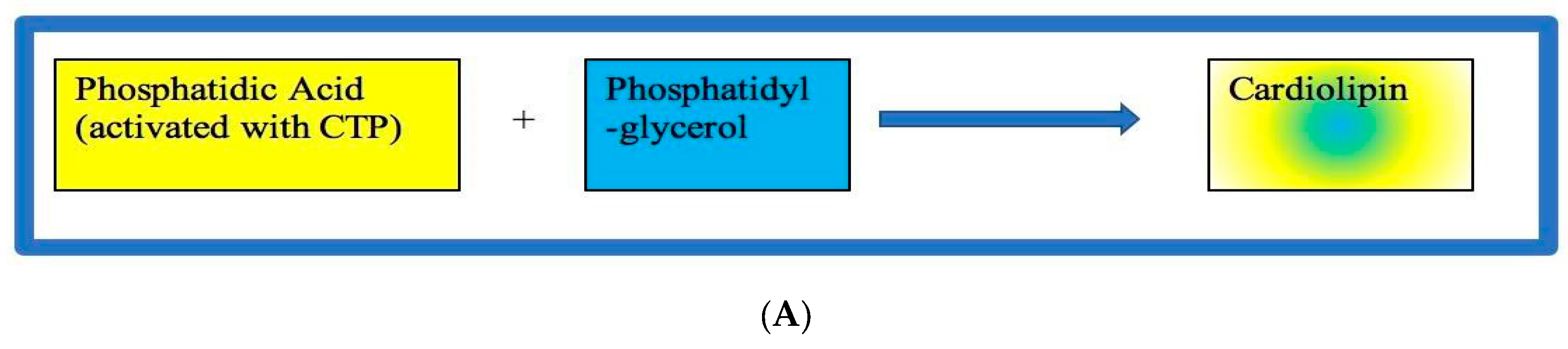 Preprints 138436 g003a