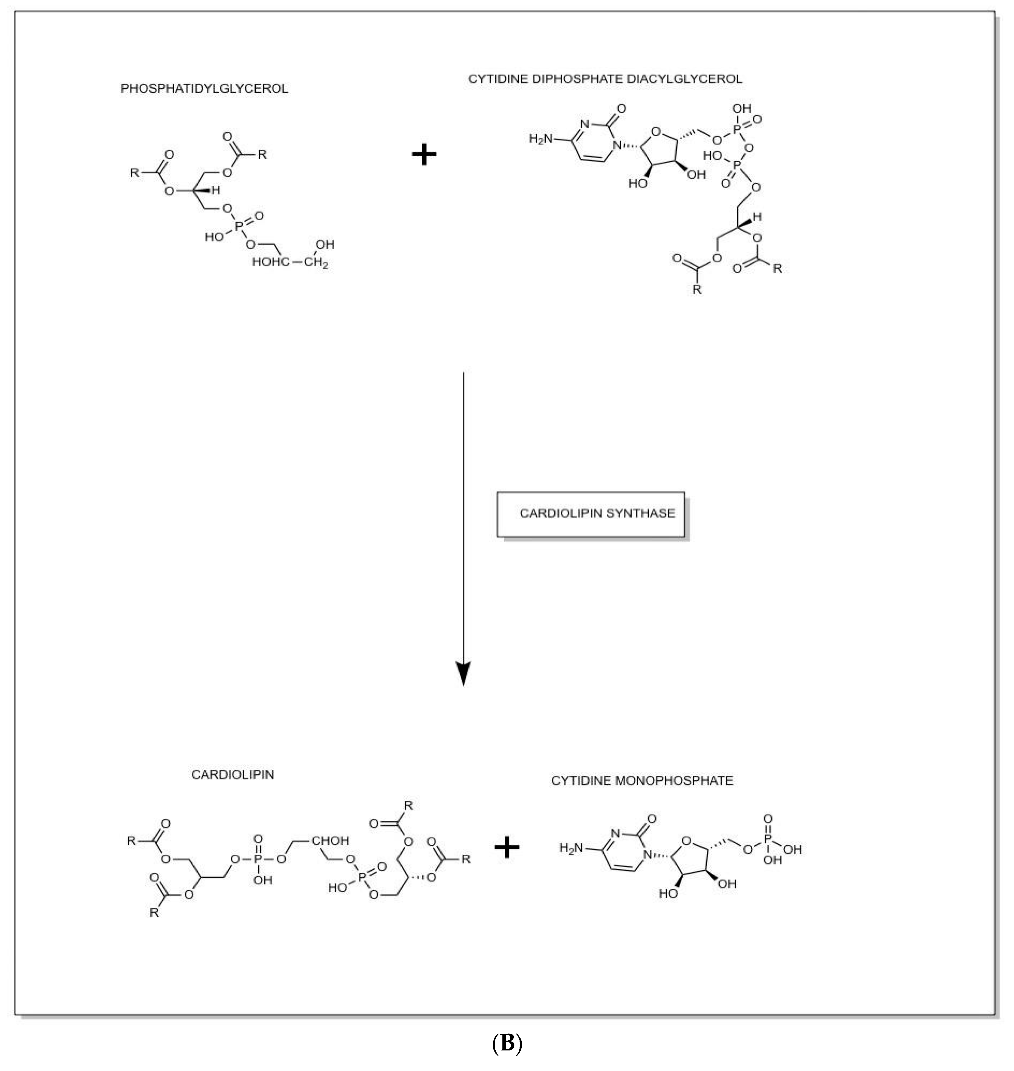 Preprints 138436 g003b