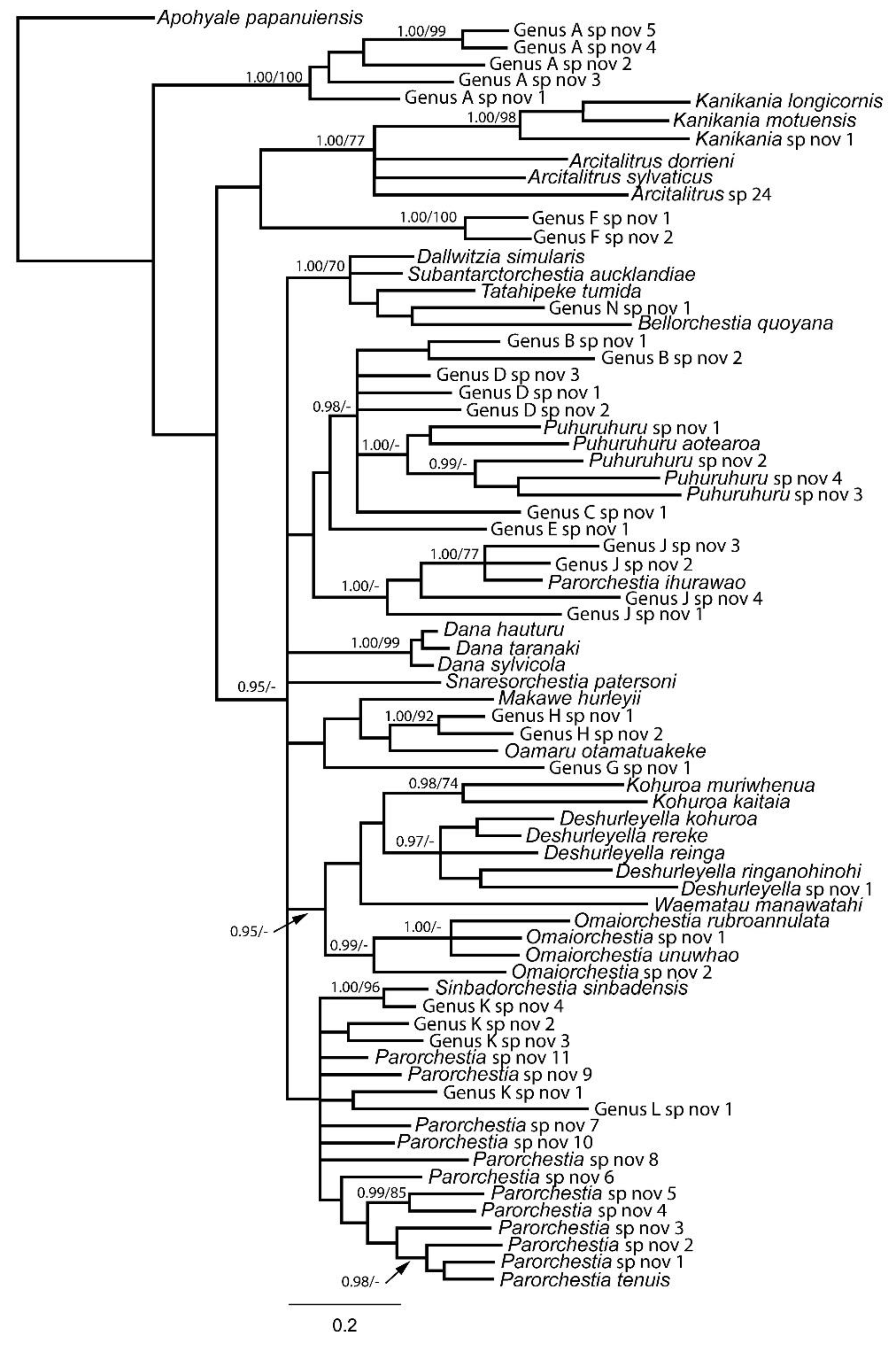 Preprints 115407 g003