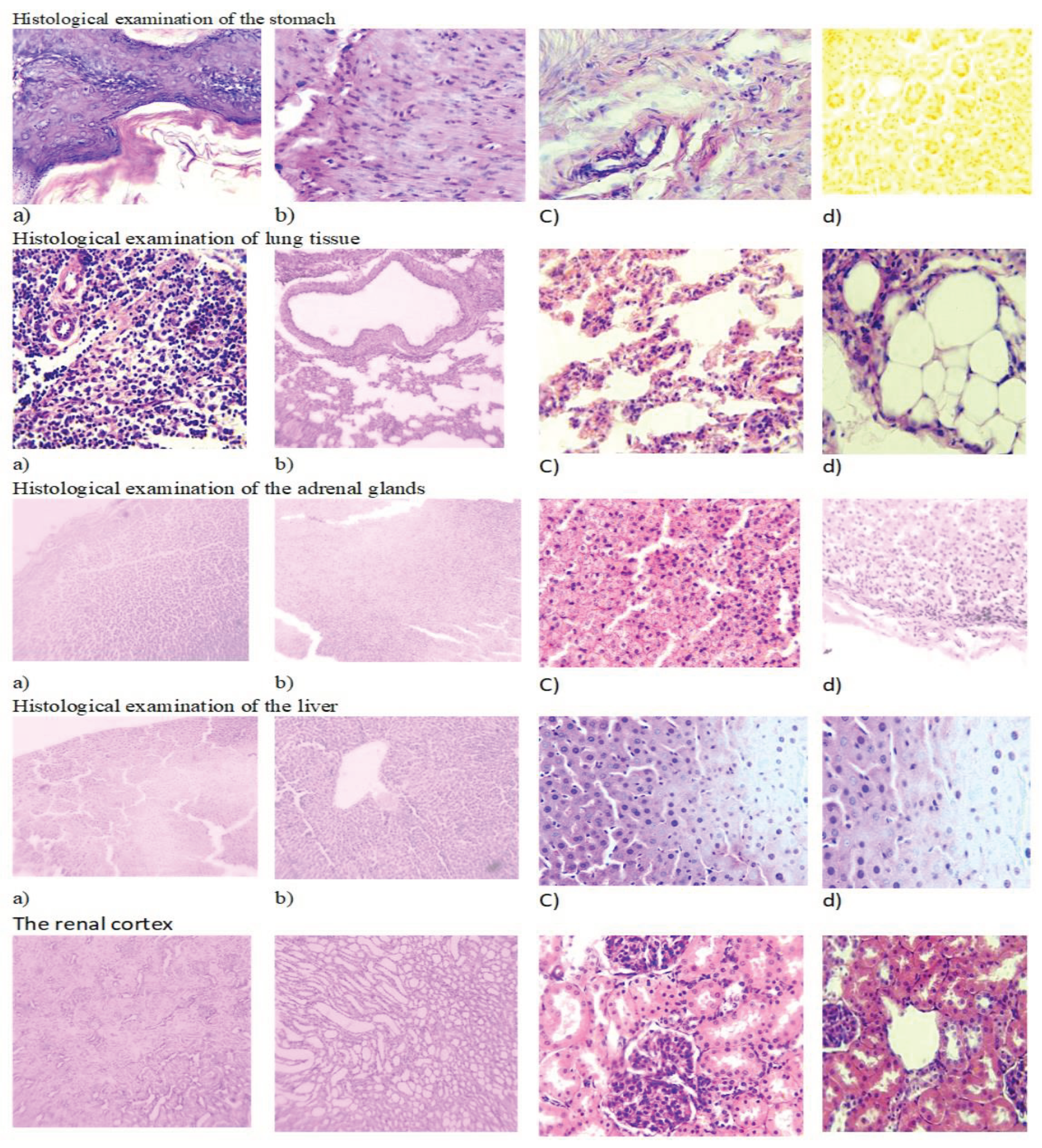 Preprints 100063 g004