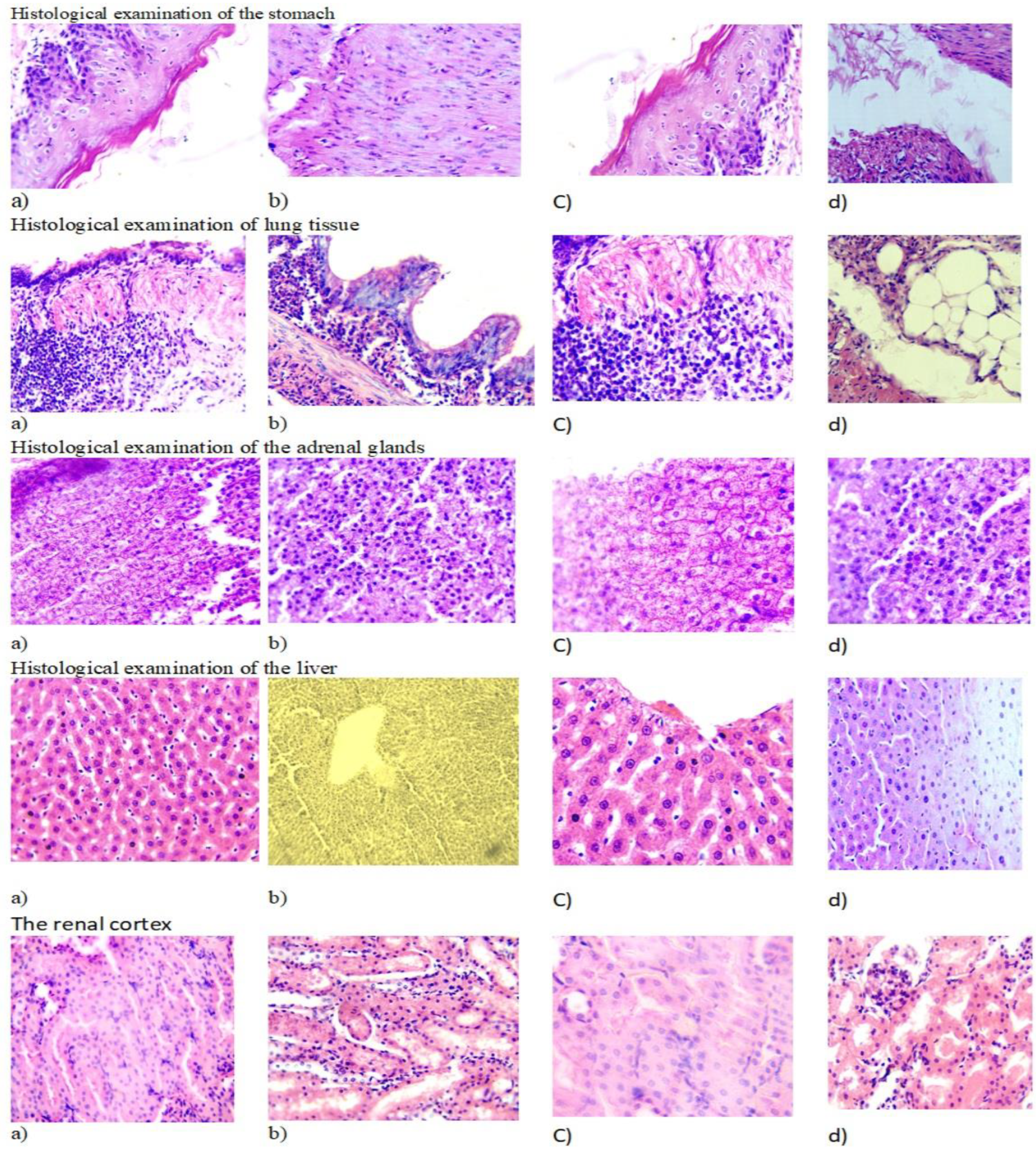 Preprints 100063 g005