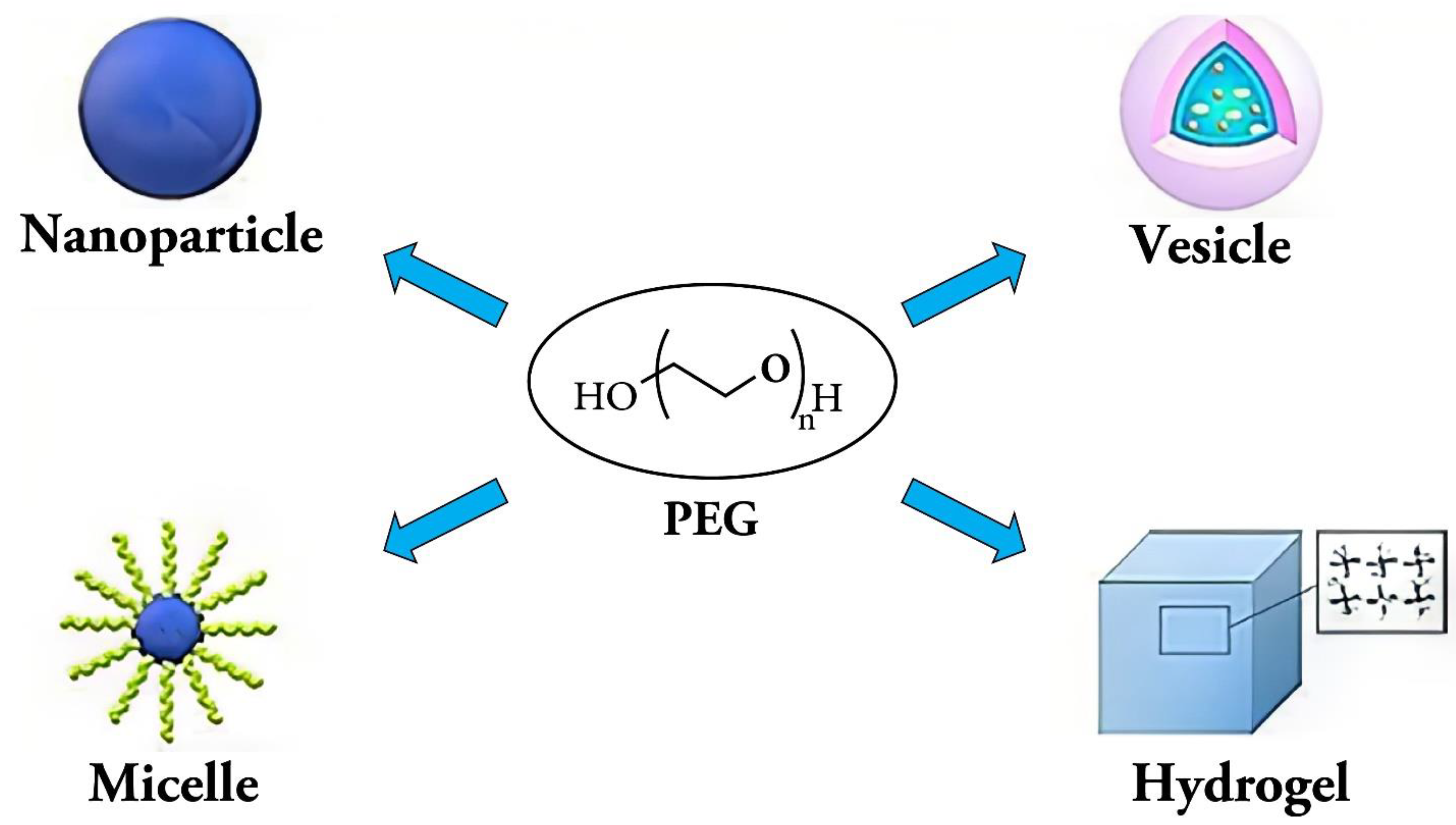 Preprints 81296 g003