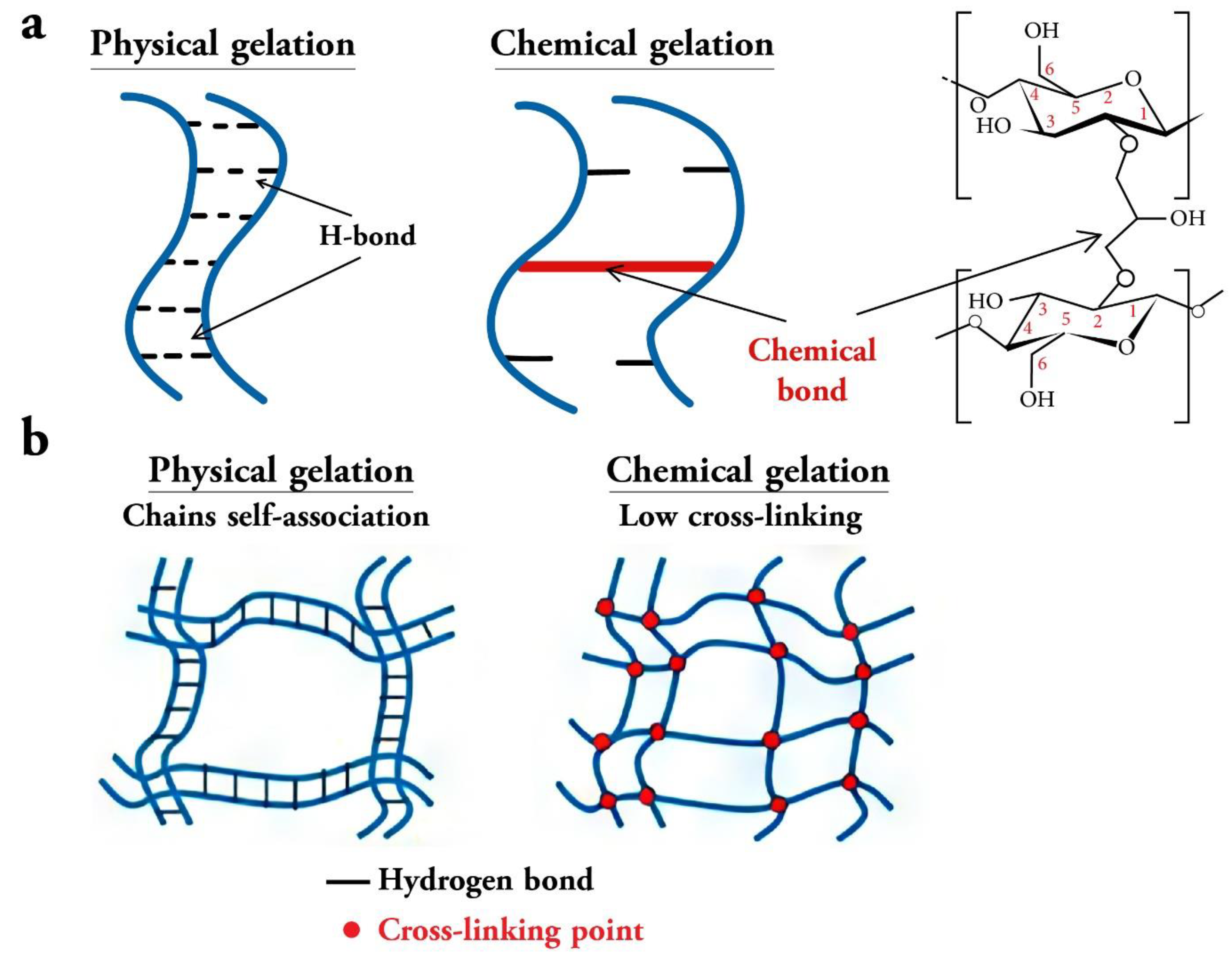 Preprints 81296 g004