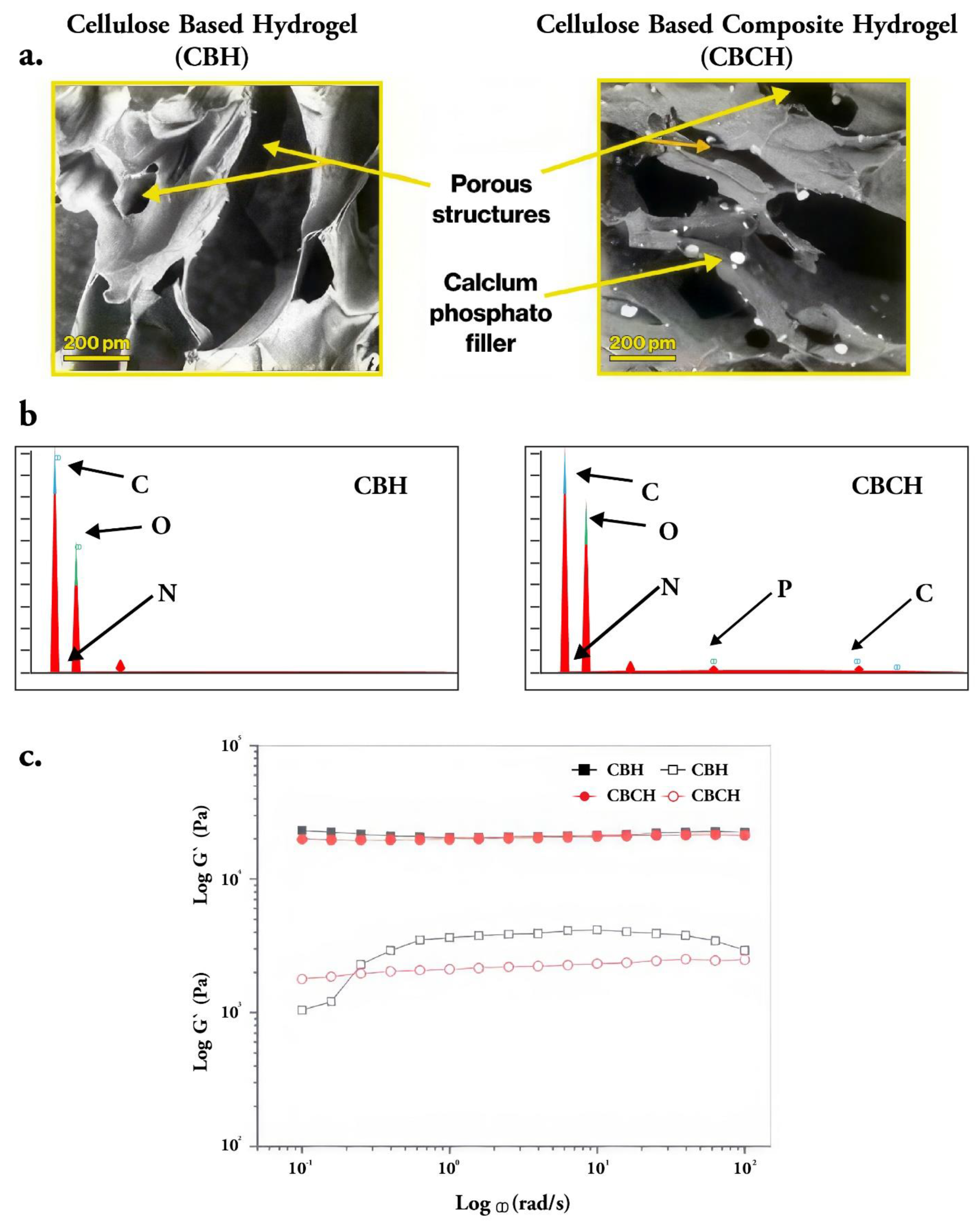 Preprints 81296 g005