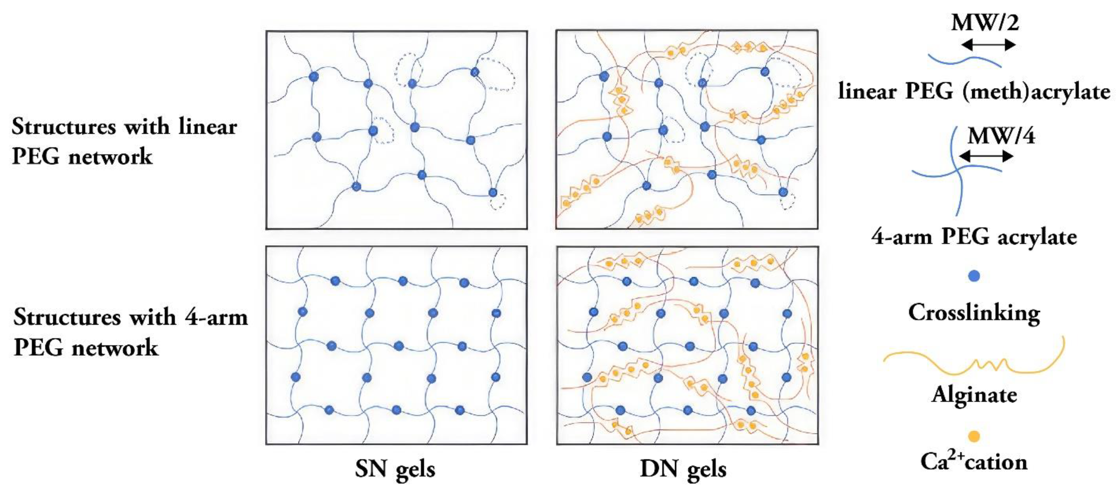 Preprints 81296 g007