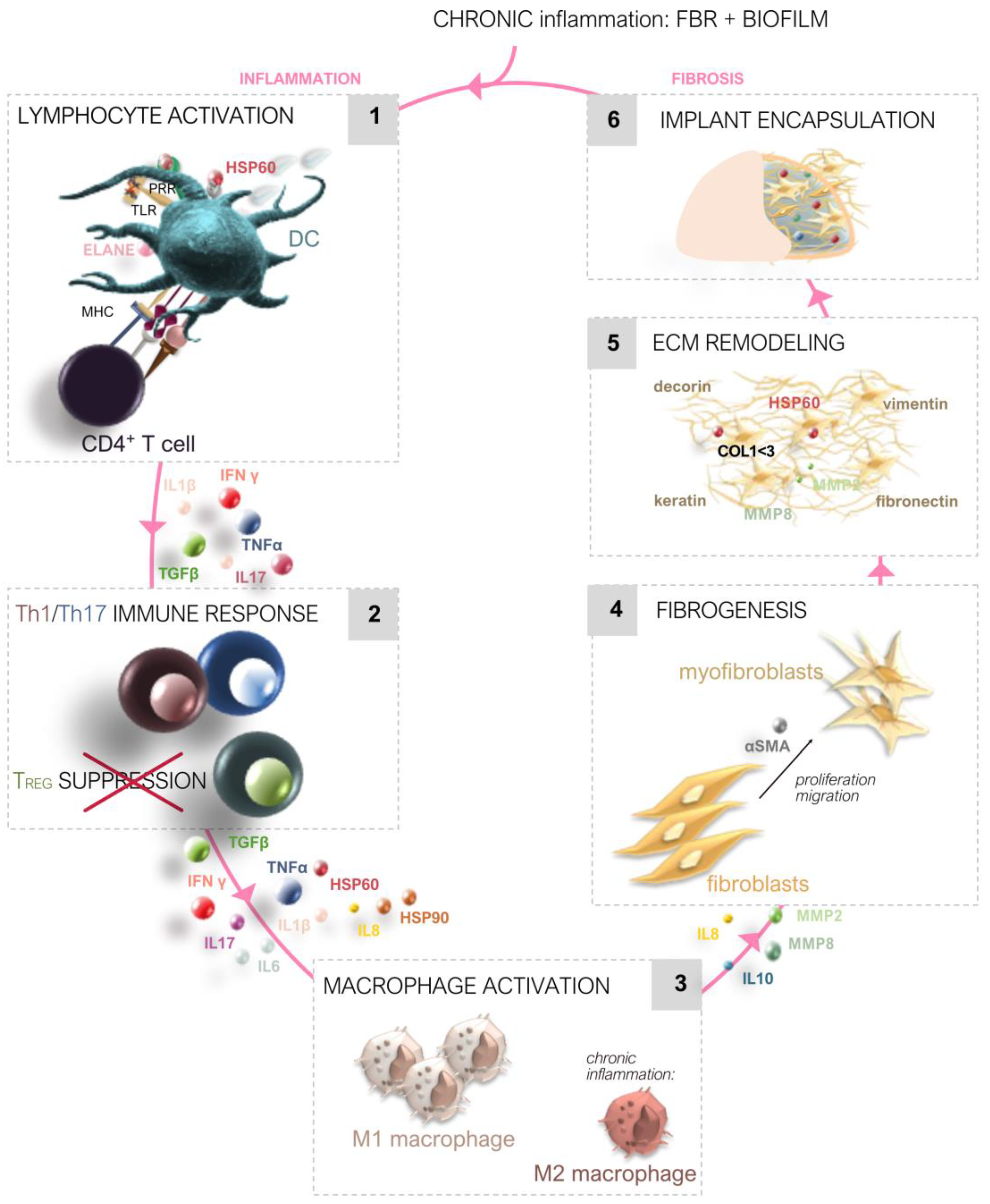 Preprints 120841 g001