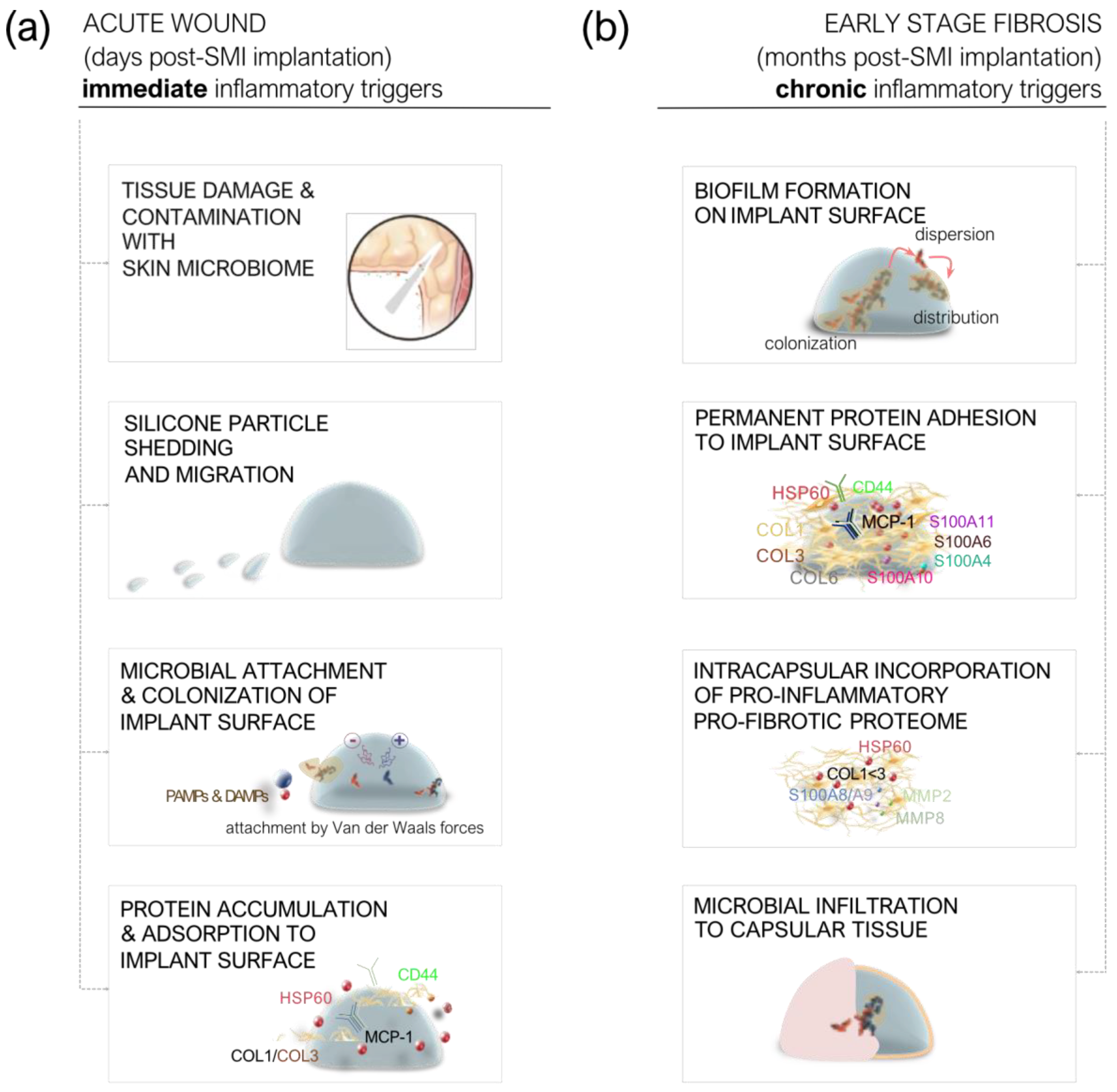 Preprints 120841 g002