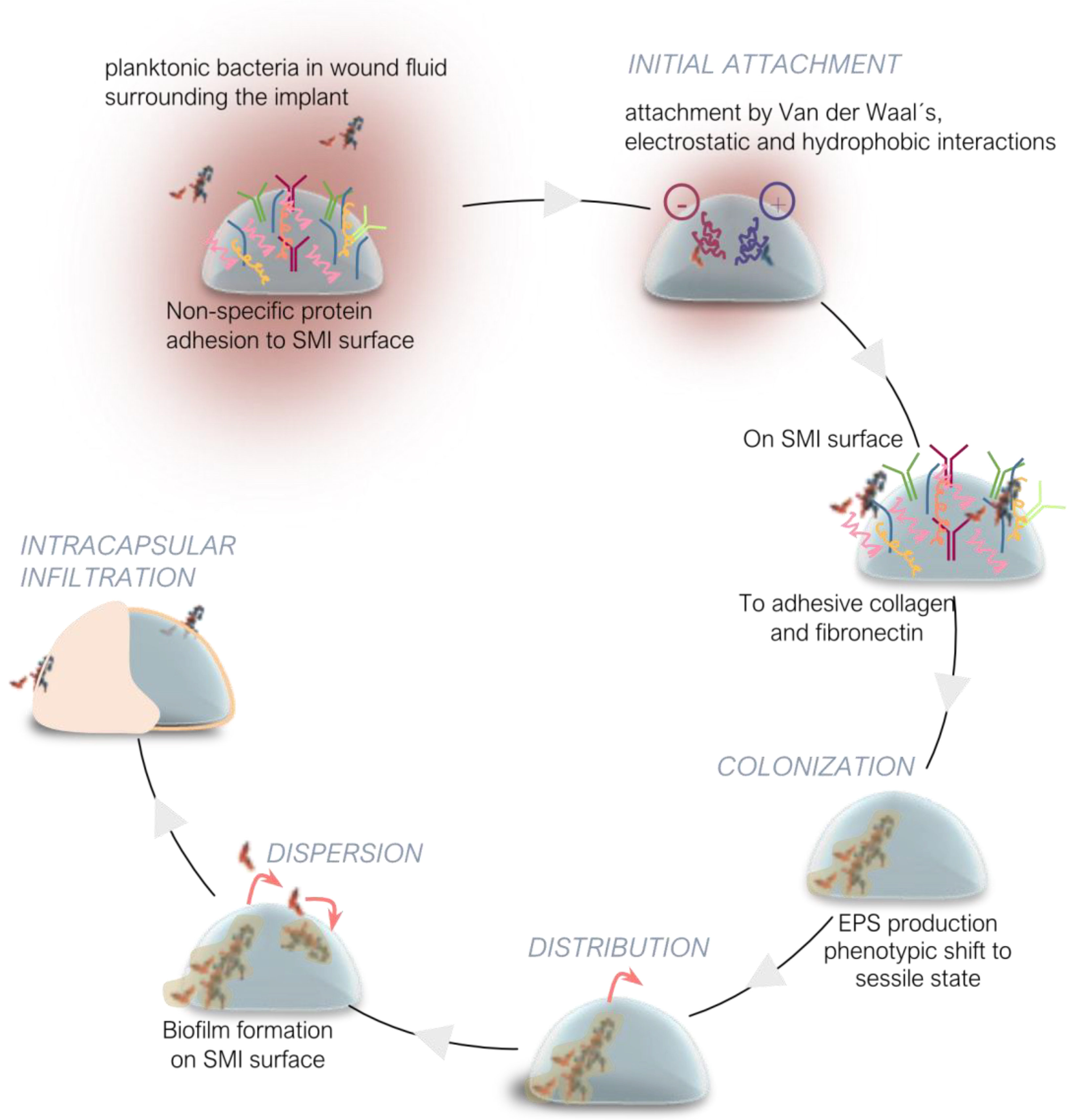 Preprints 120841 g003