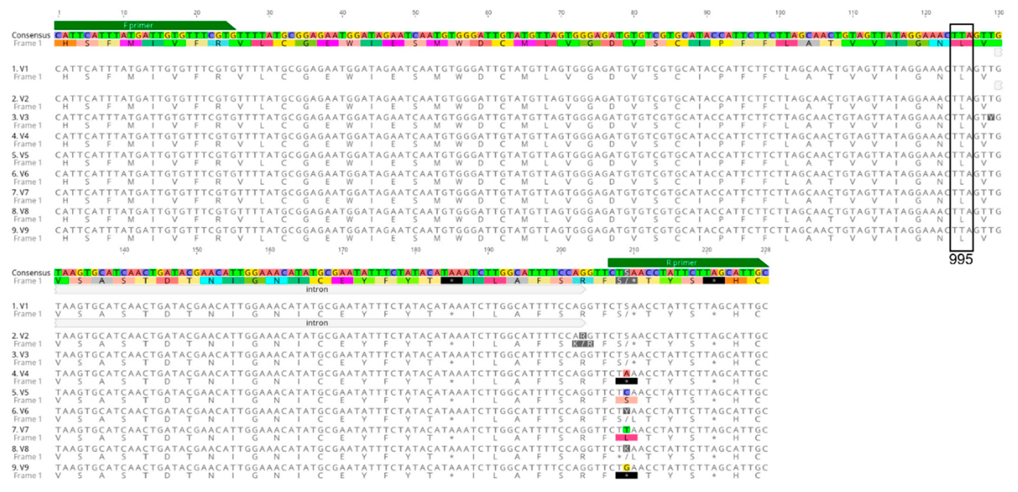 Preprints 83871 g002