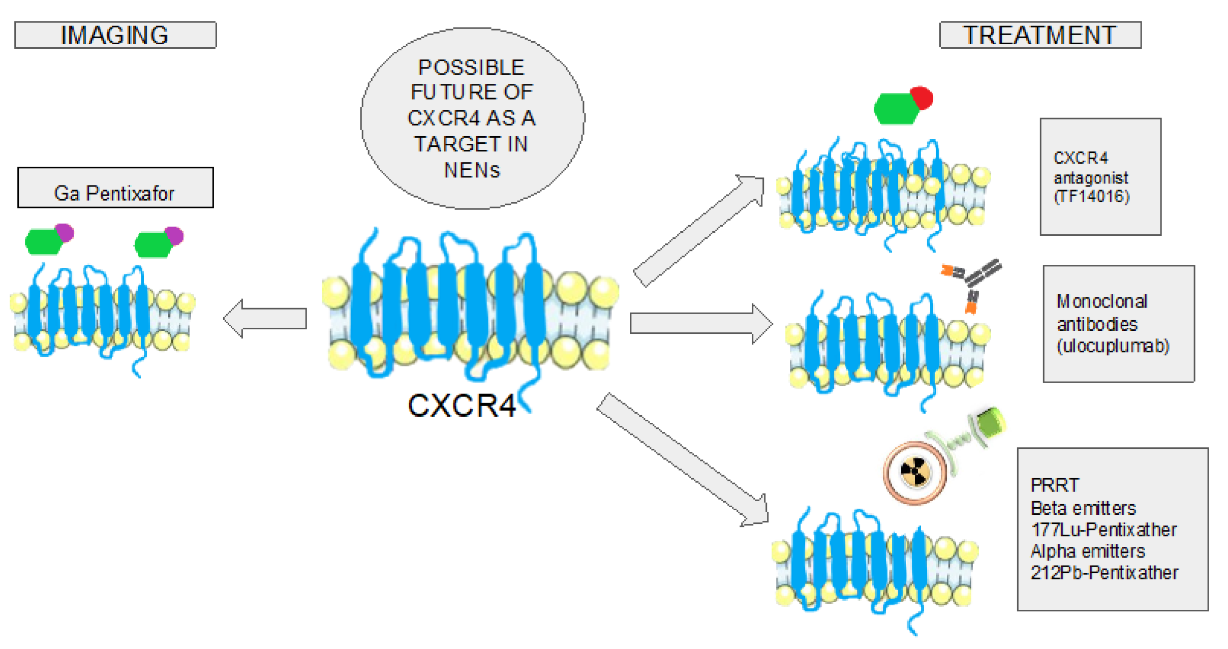 Preprints 103845 g002