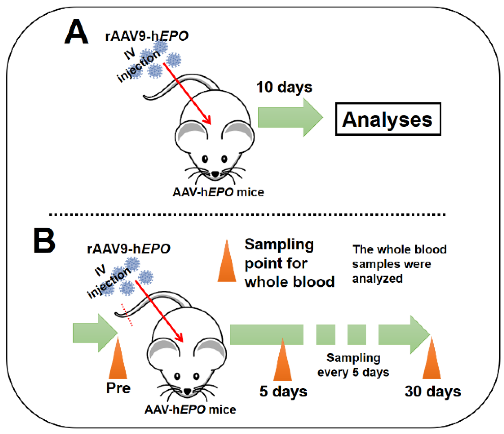 Preprints 105454 g001