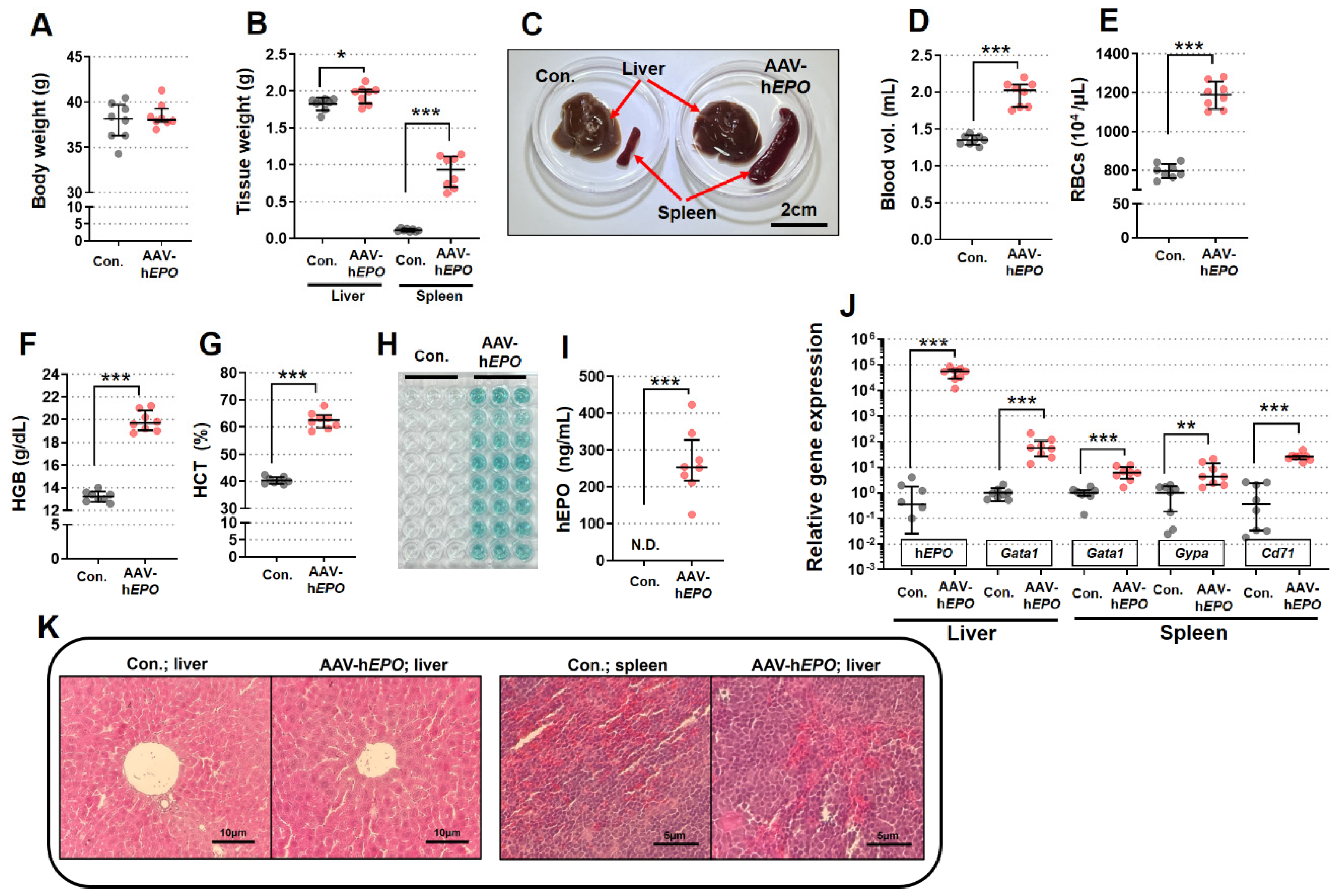 Preprints 105454 g002