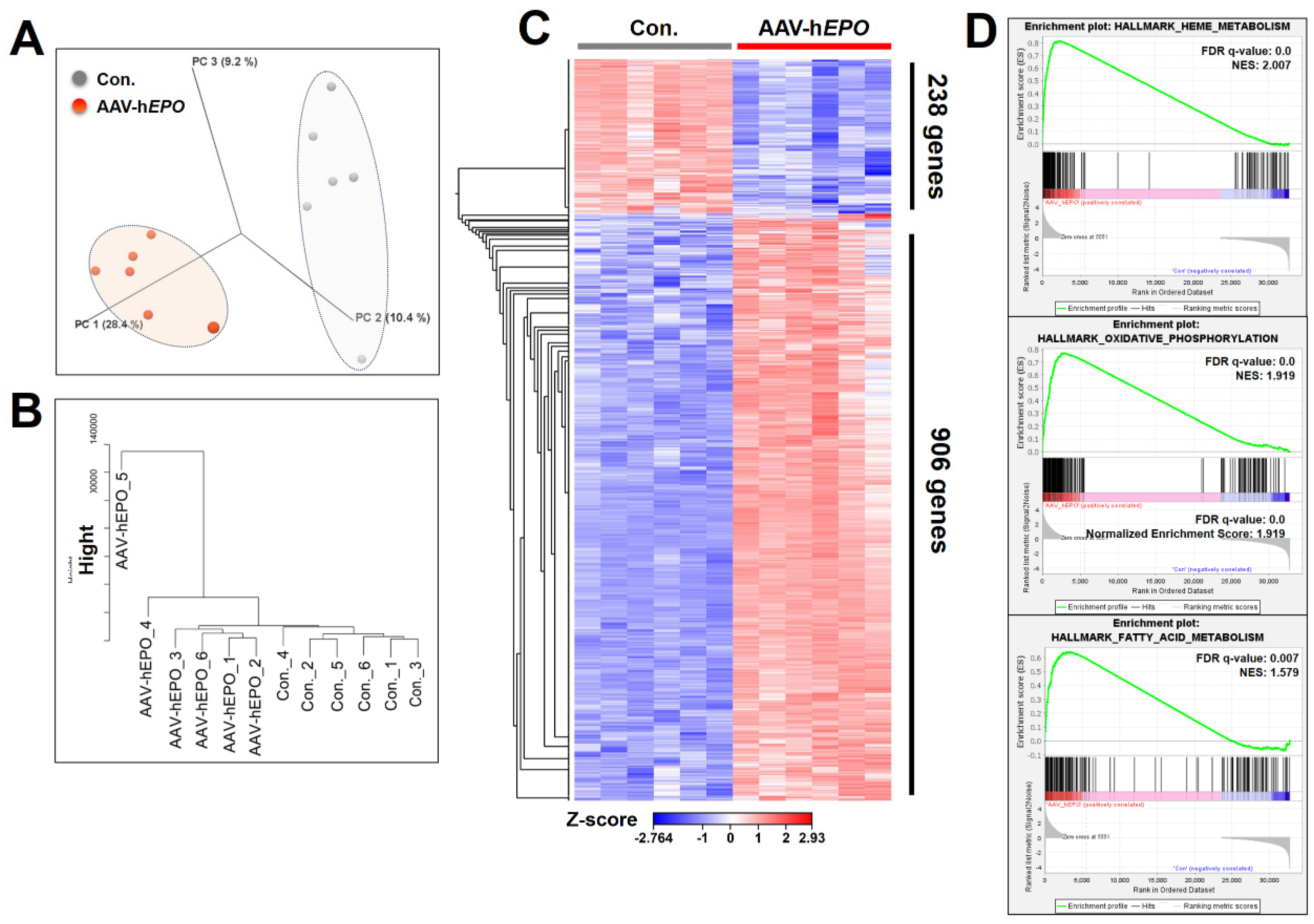 Preprints 105454 g004