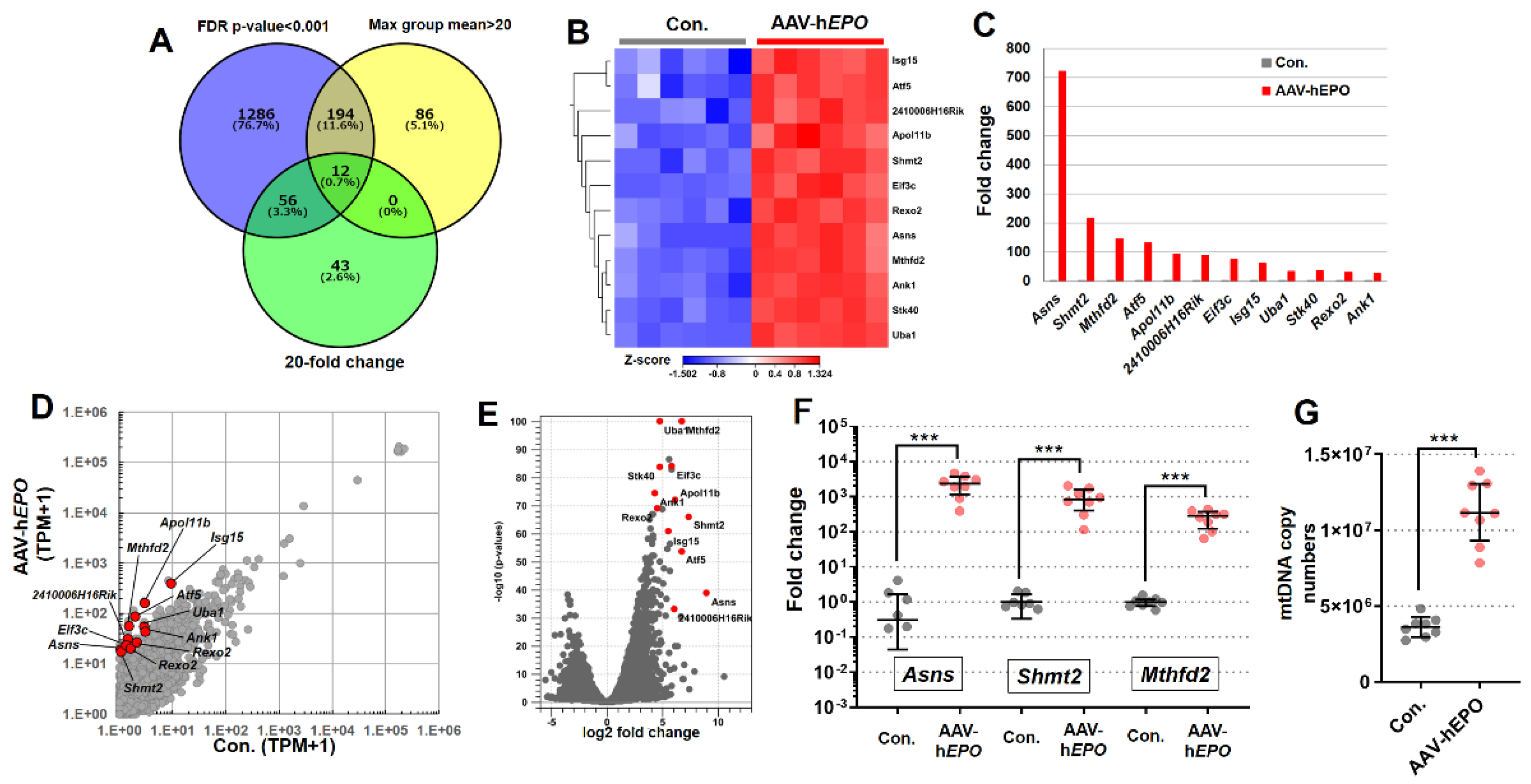 Preprints 105454 g005