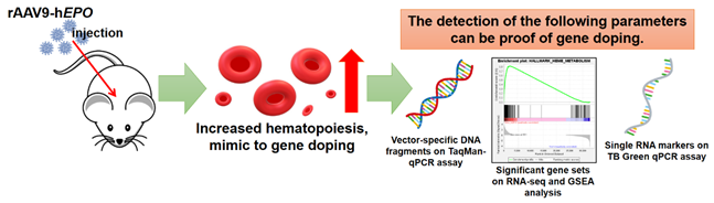 Preprints 105454 i001