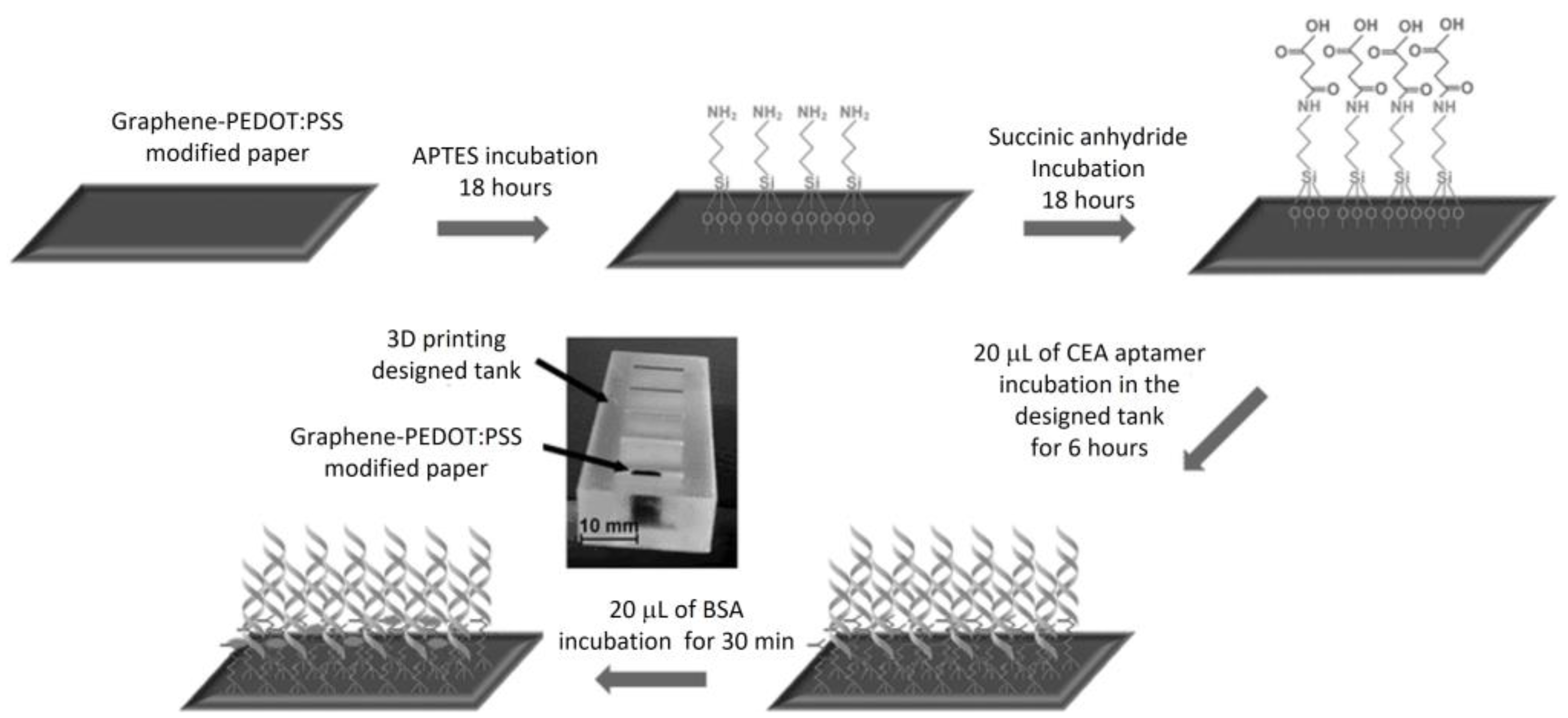 Preprints 76719 g010