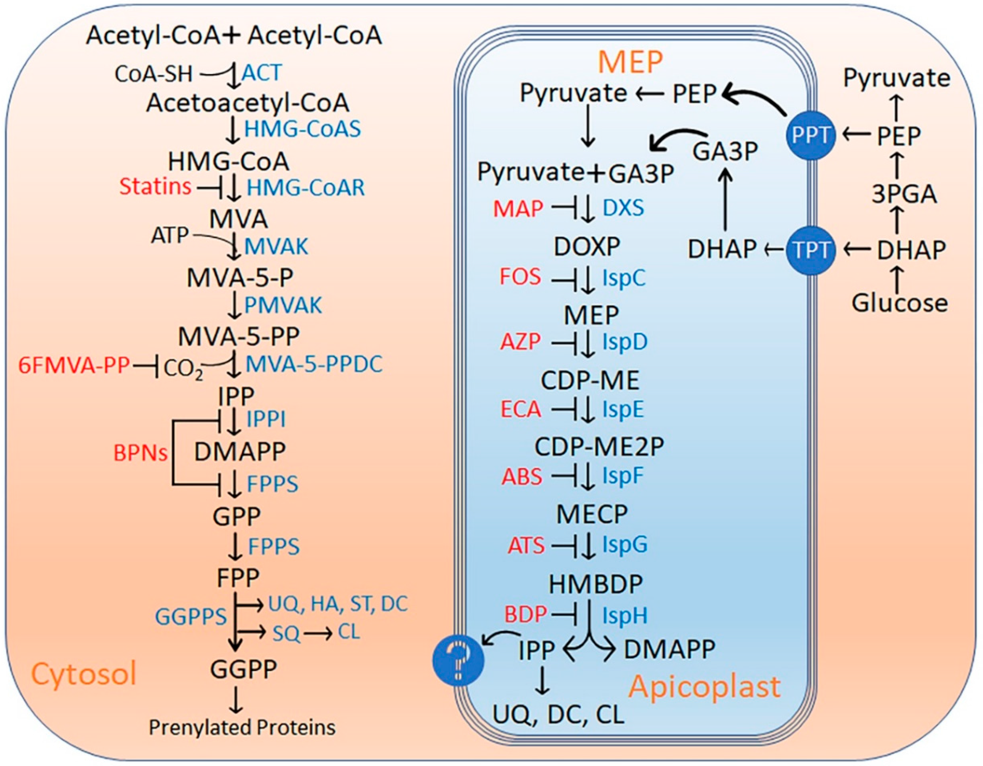 Preprints 91953 g001