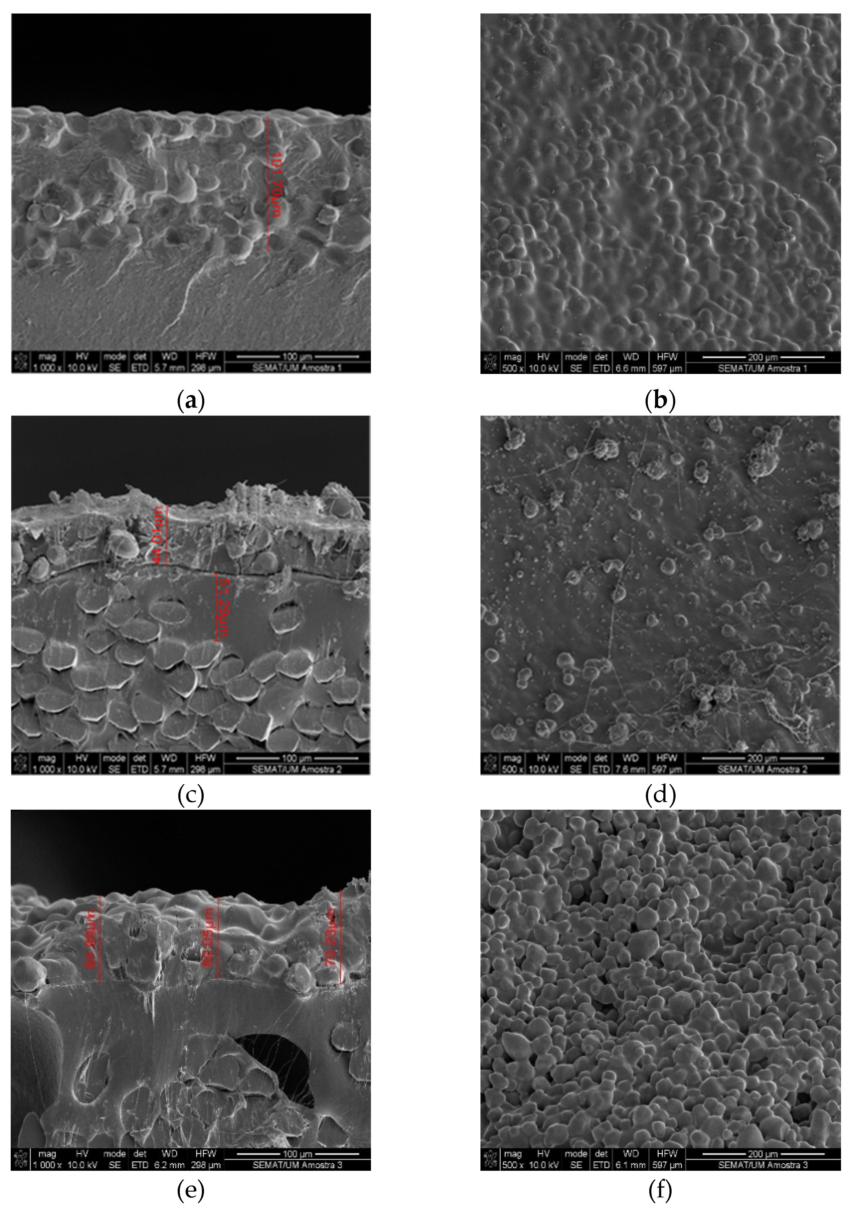 Preprints 92364 g004