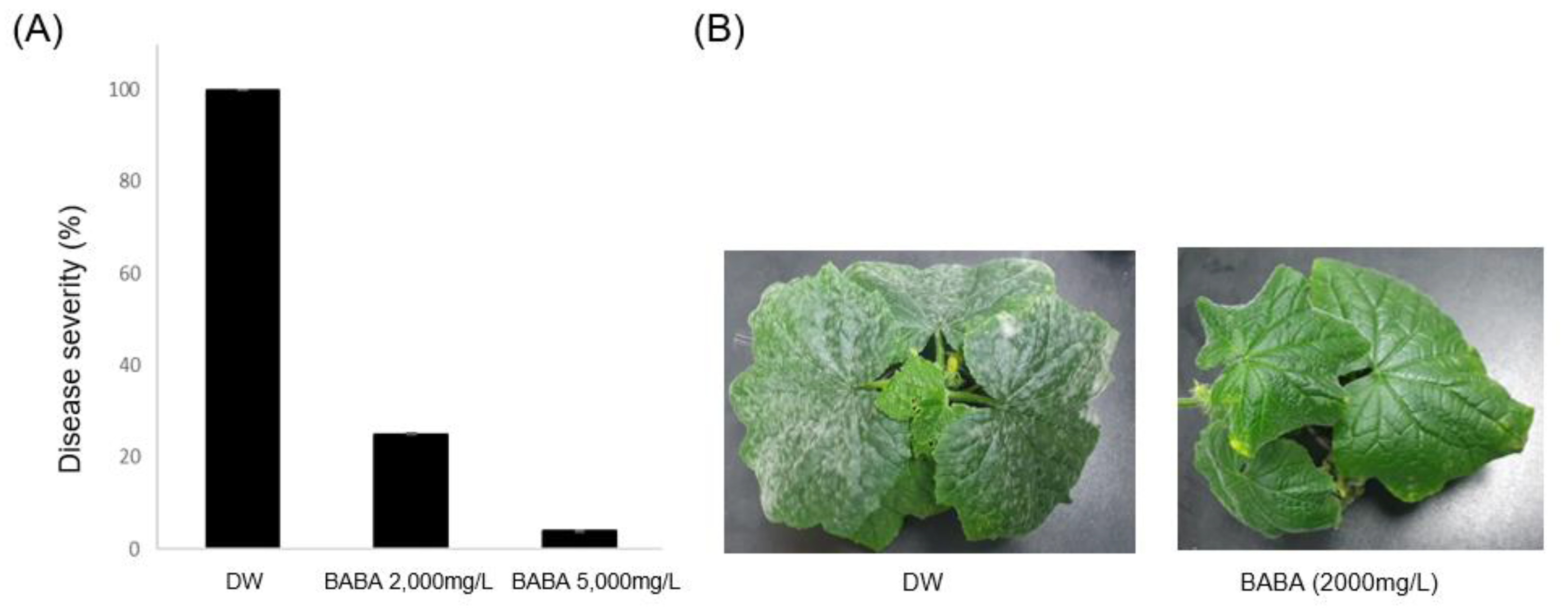 Preprints 86012 g001