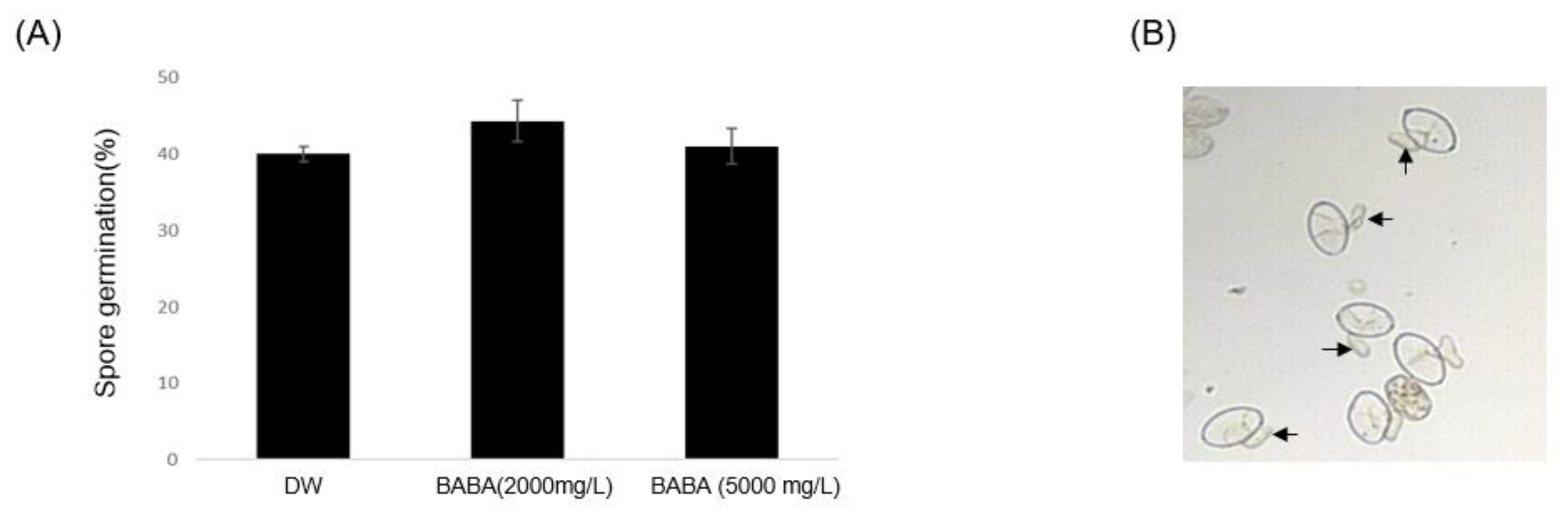 Preprints 86012 g002