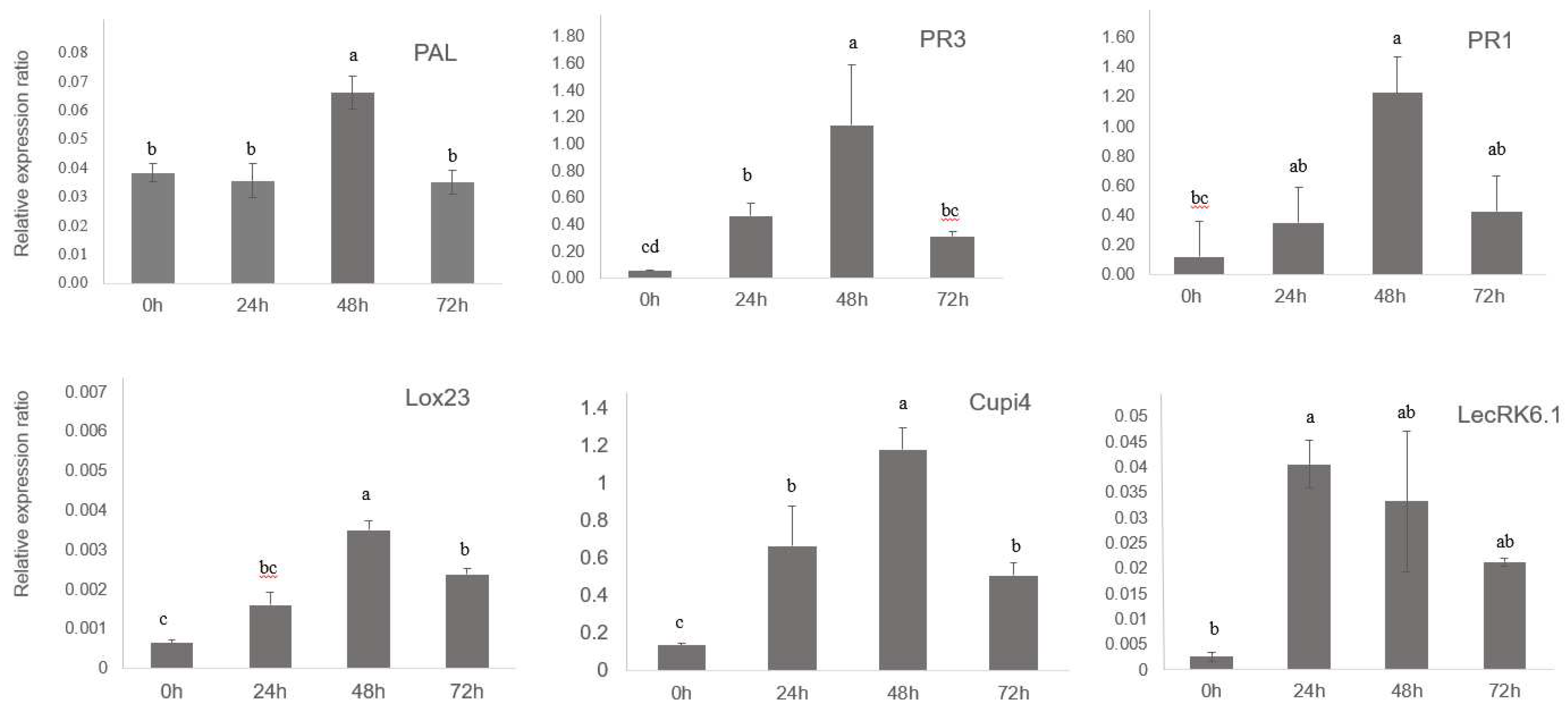 Preprints 86012 g003