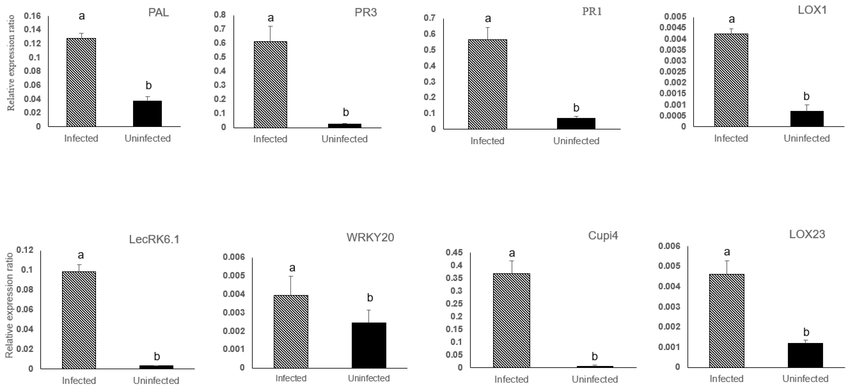 Preprints 86012 g004