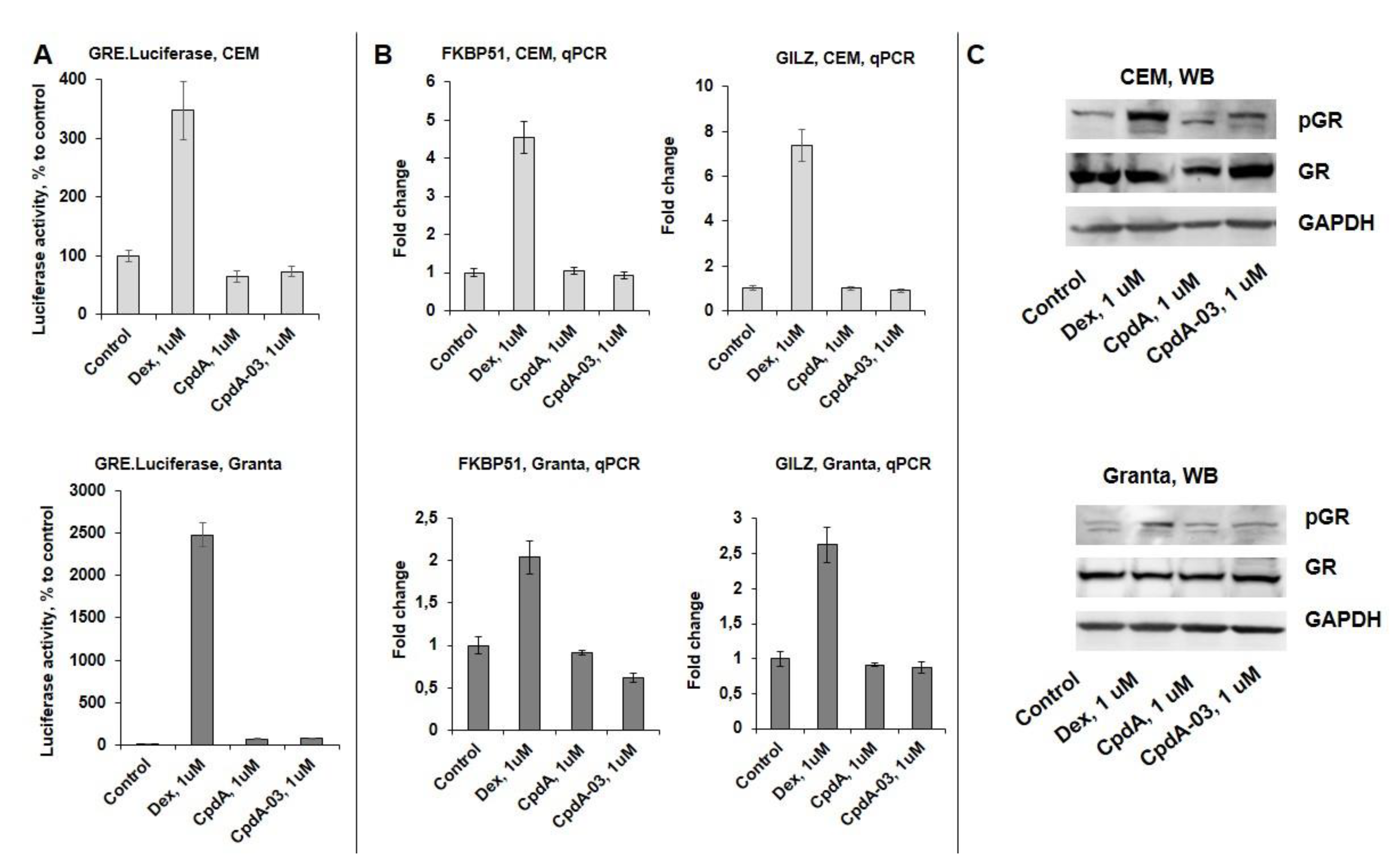 Preprints 110632 g005