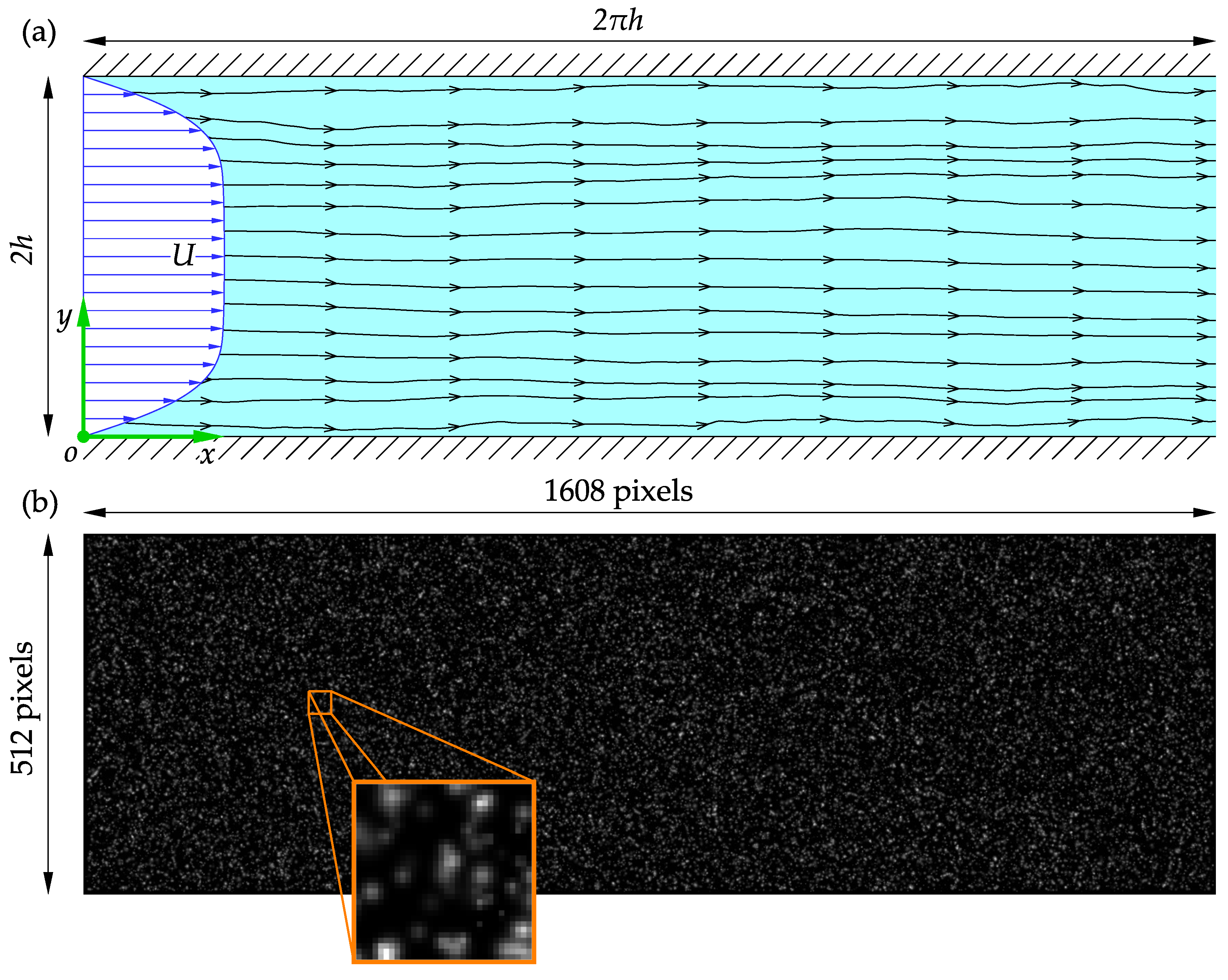 Preprints 86566 g006