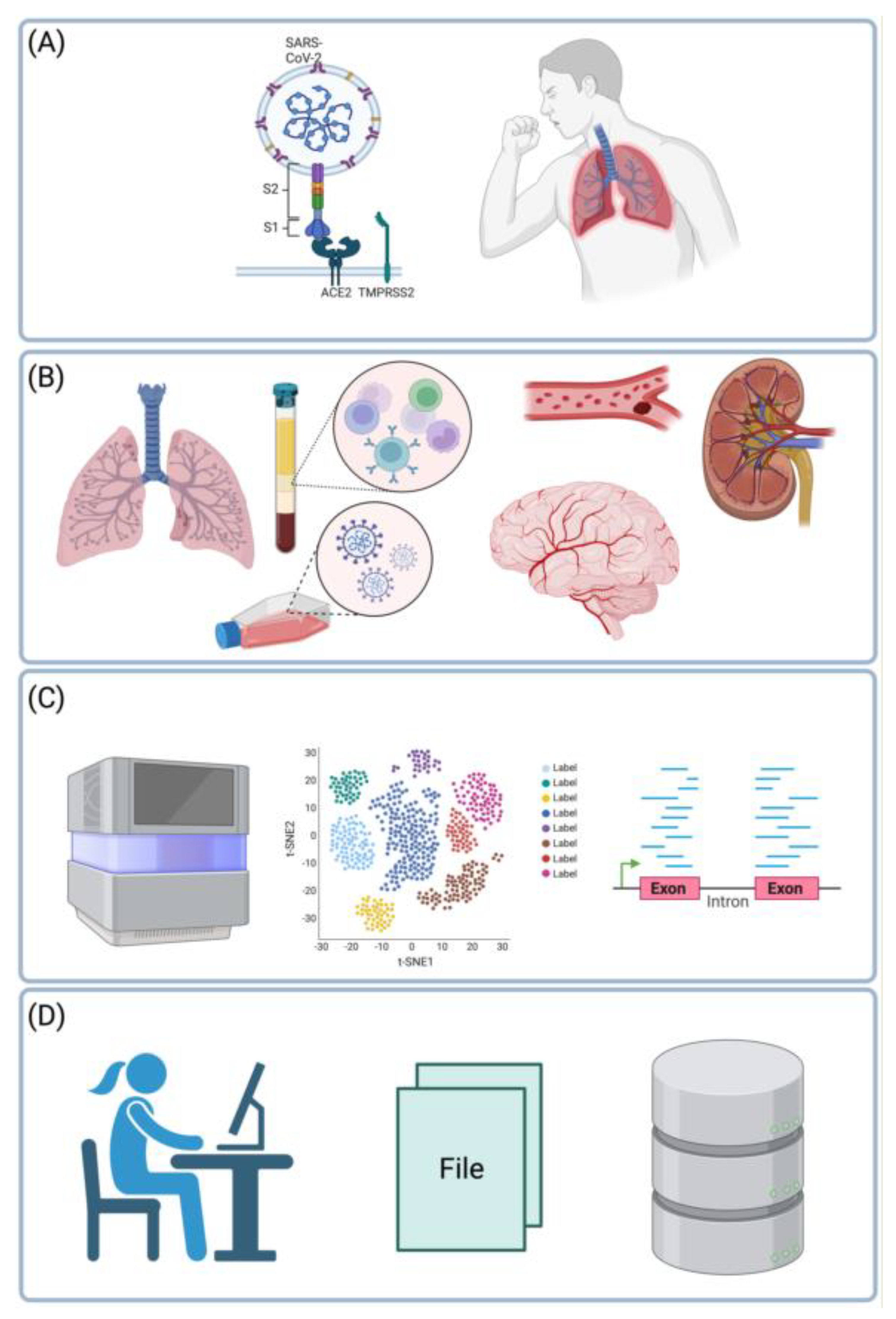 Preprints 94938 g001