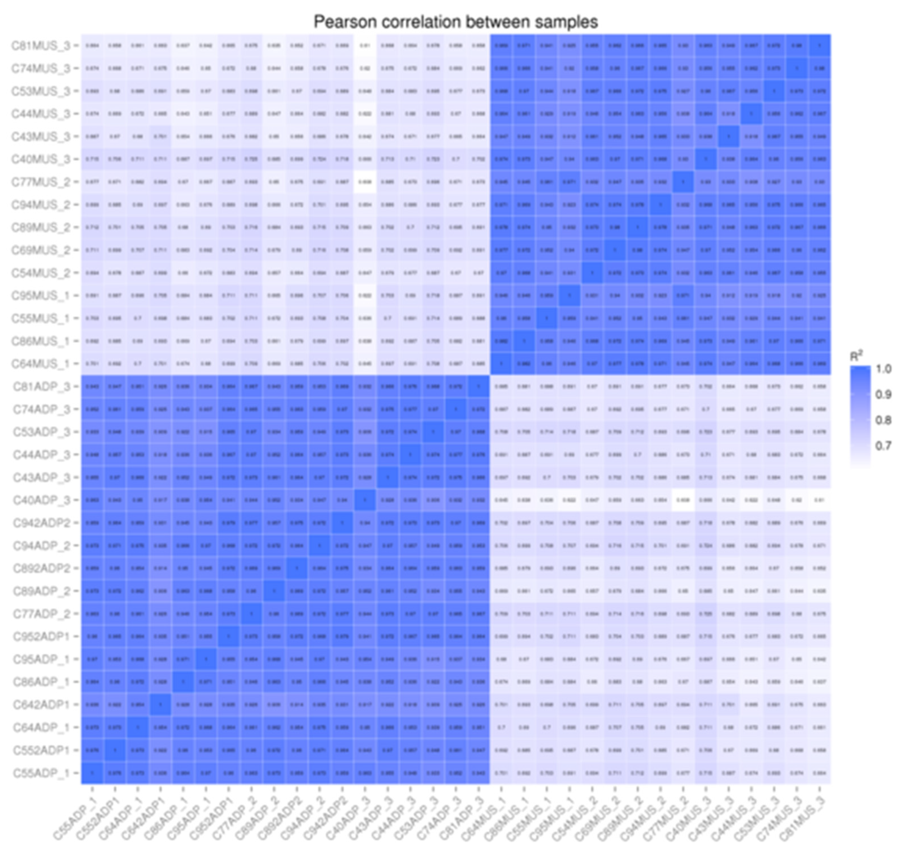 Preprints 68968 g001