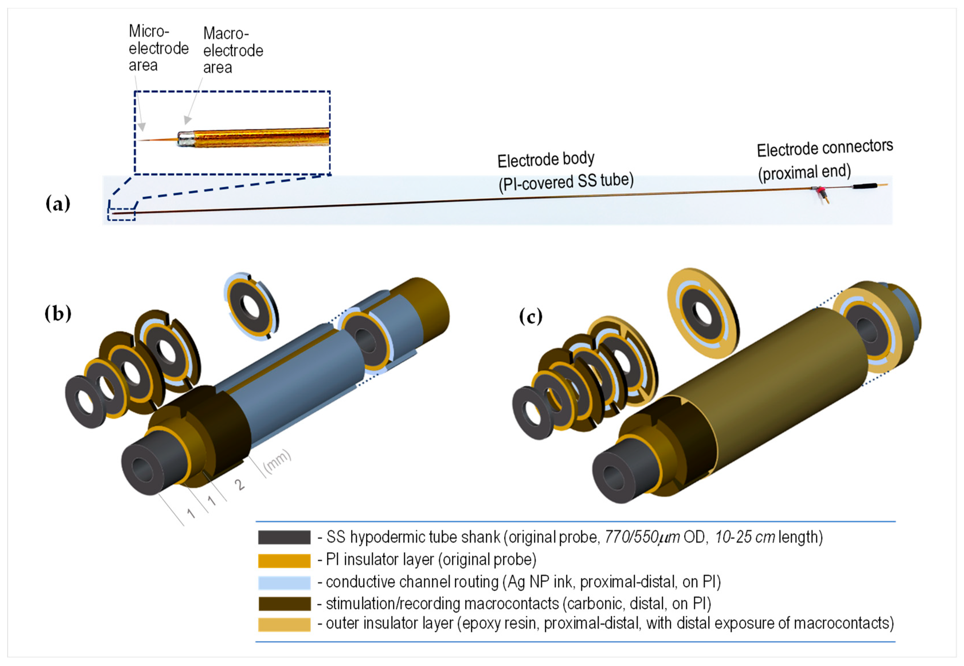 Preprints 80653 g001