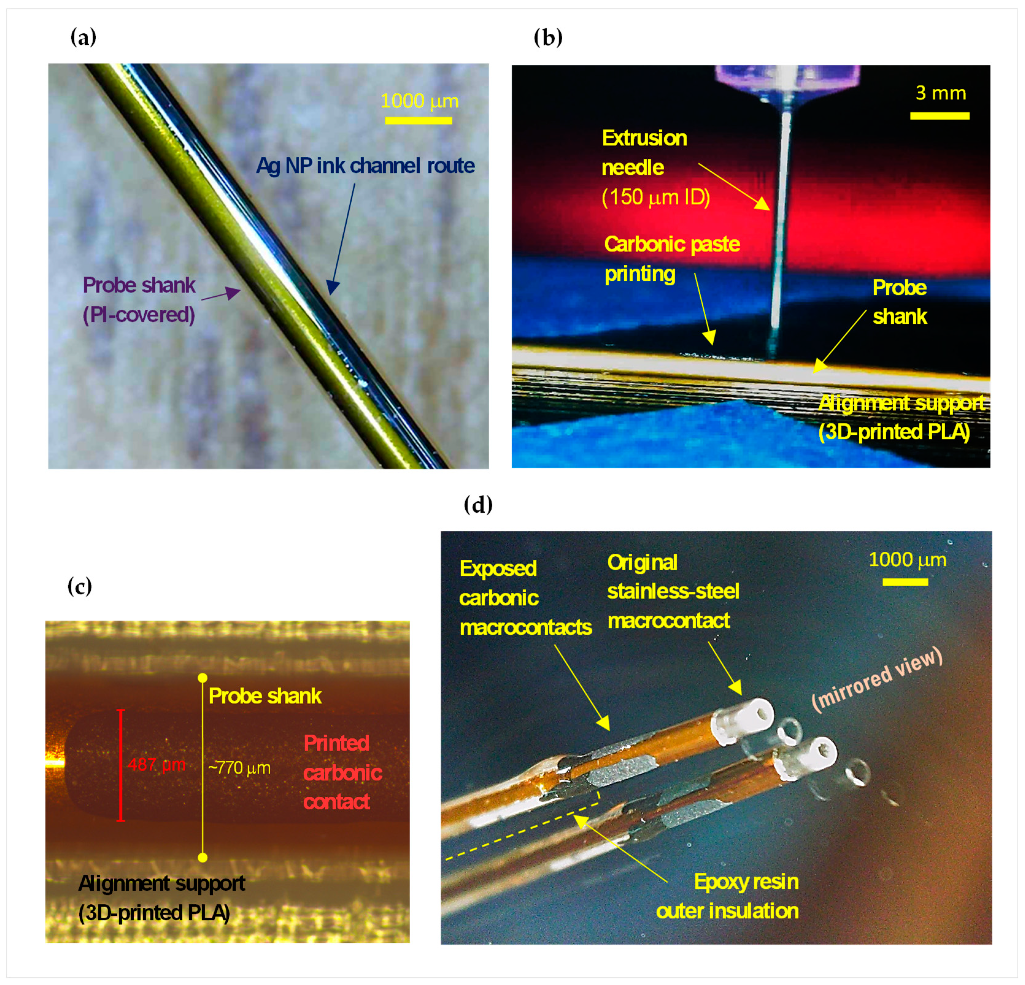 Preprints 80653 g005