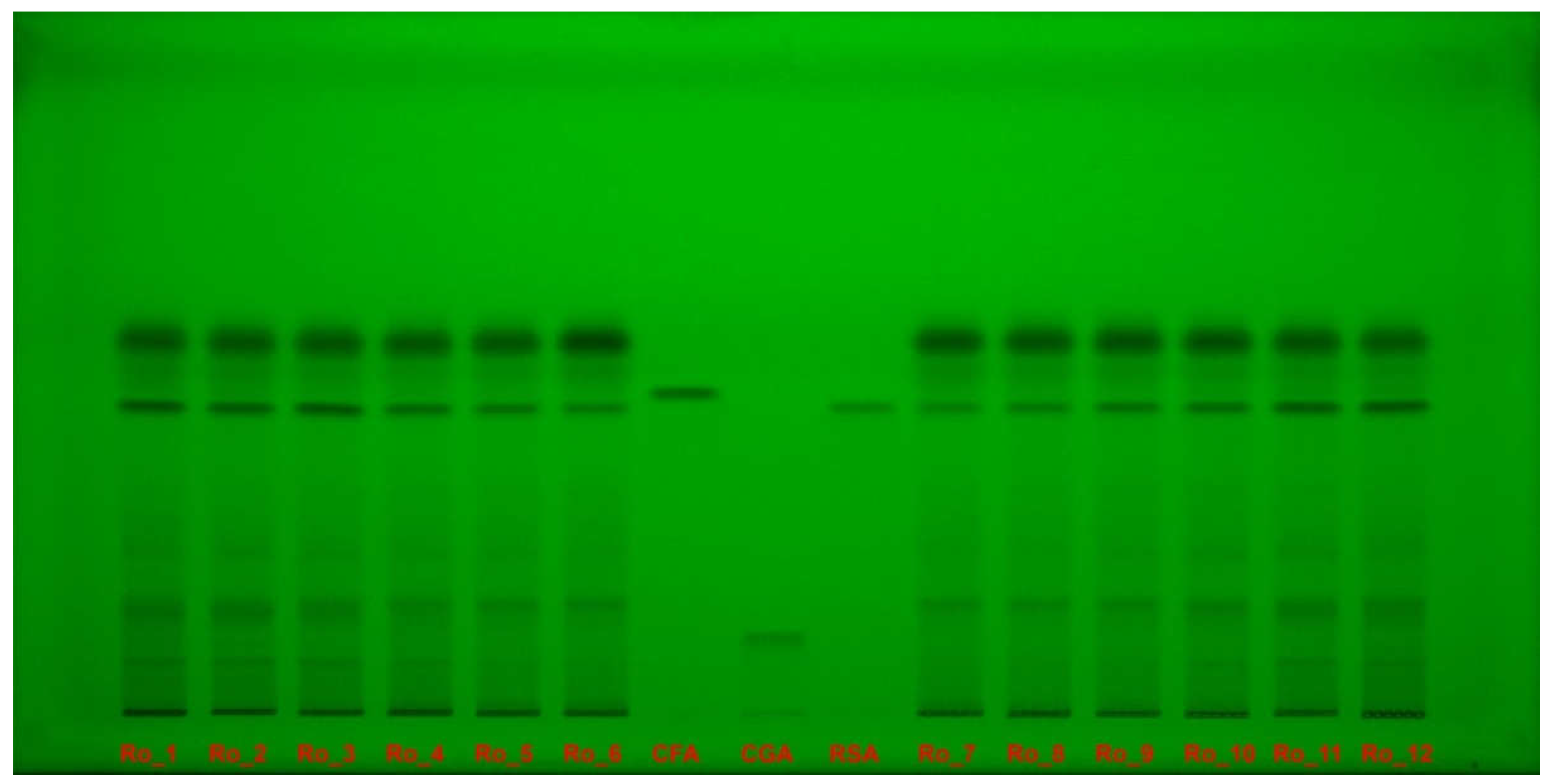 Preprints 114049 g004