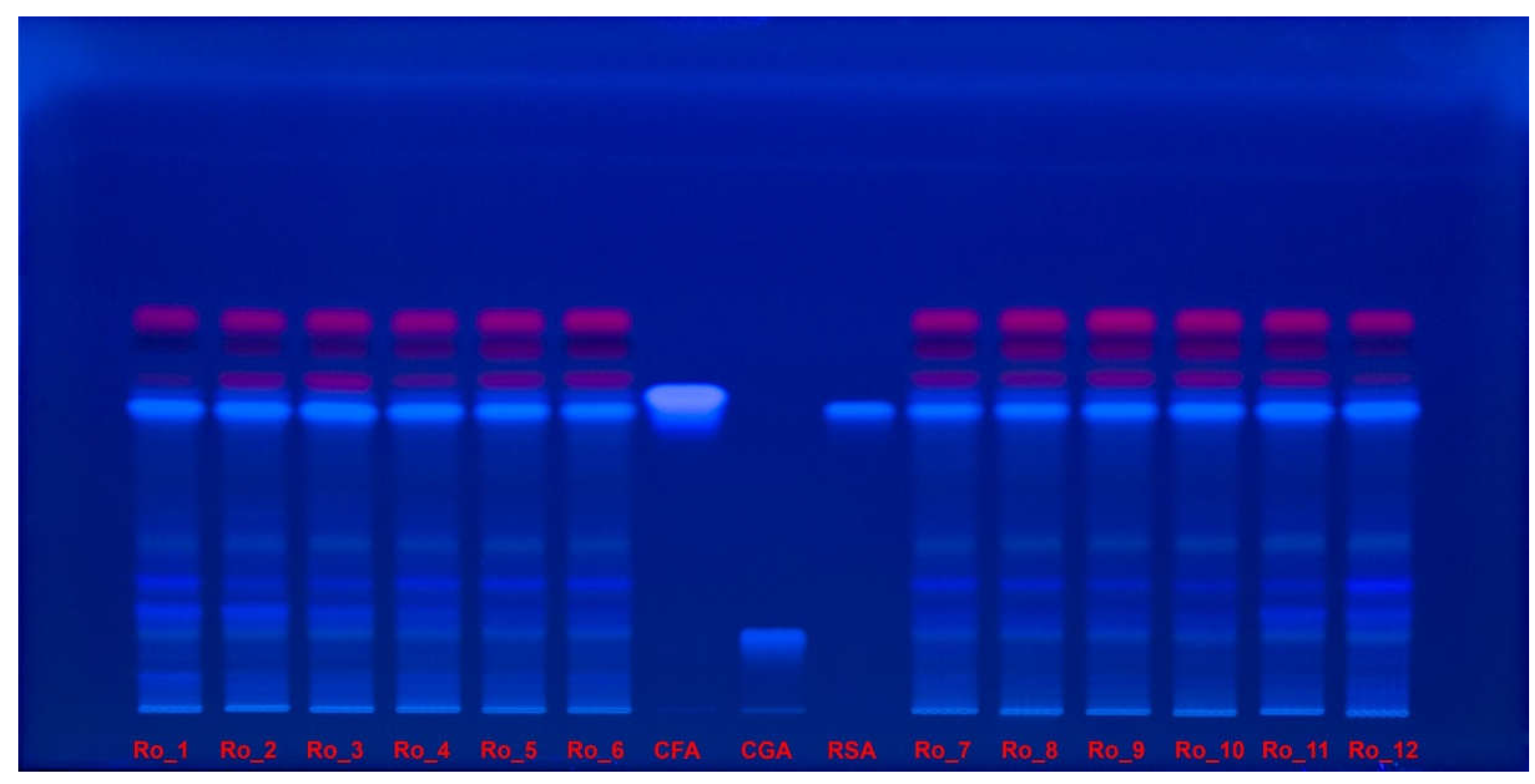 Preprints 114049 g005