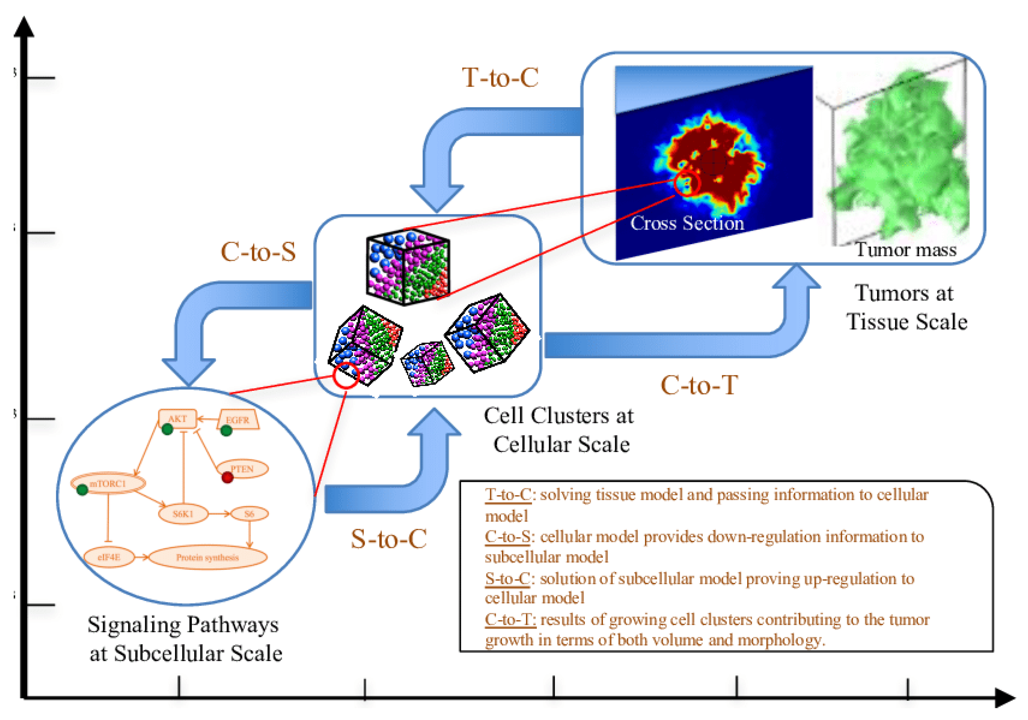 Preprints 119753 g009