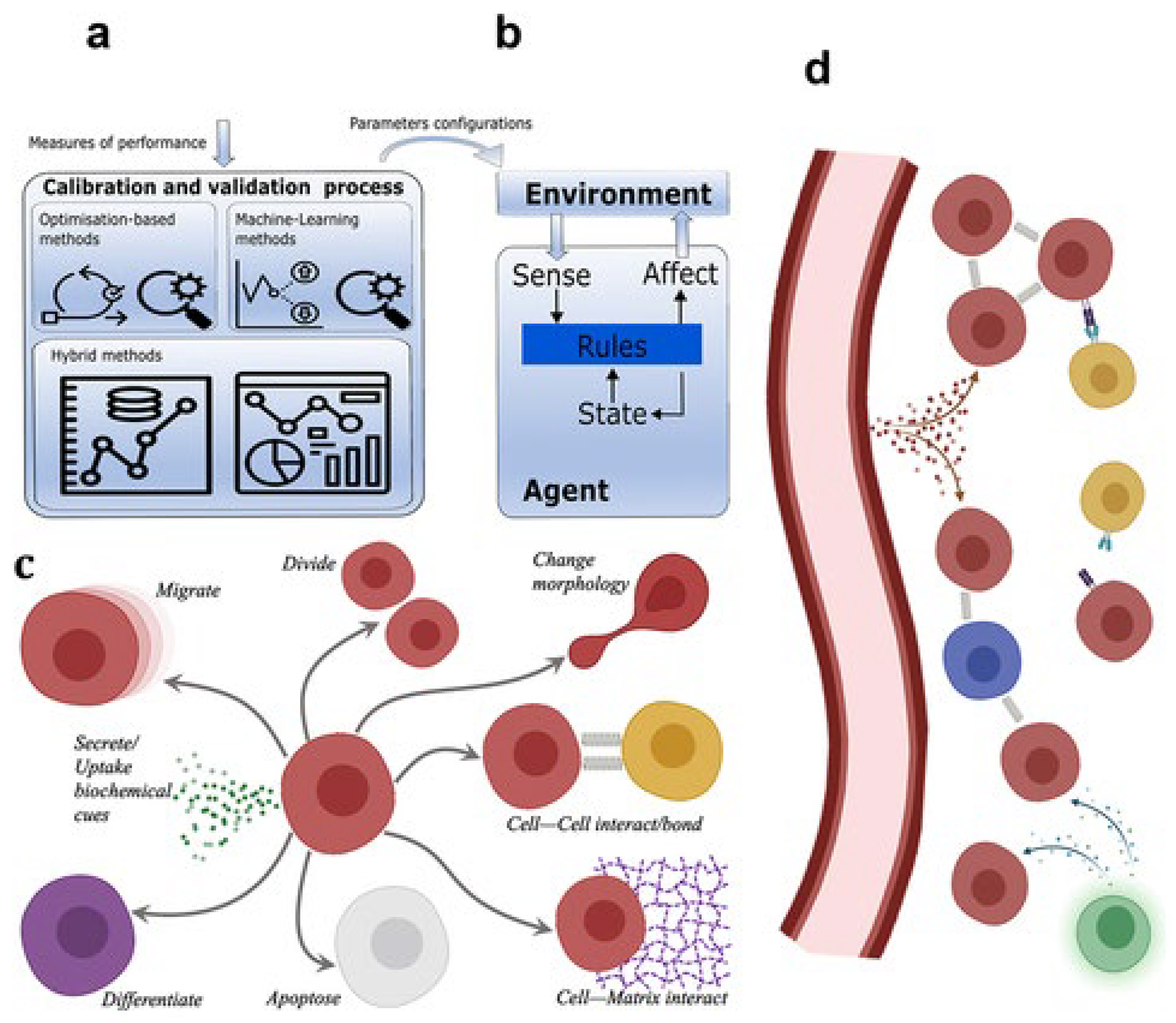 Preprints 119753 g011