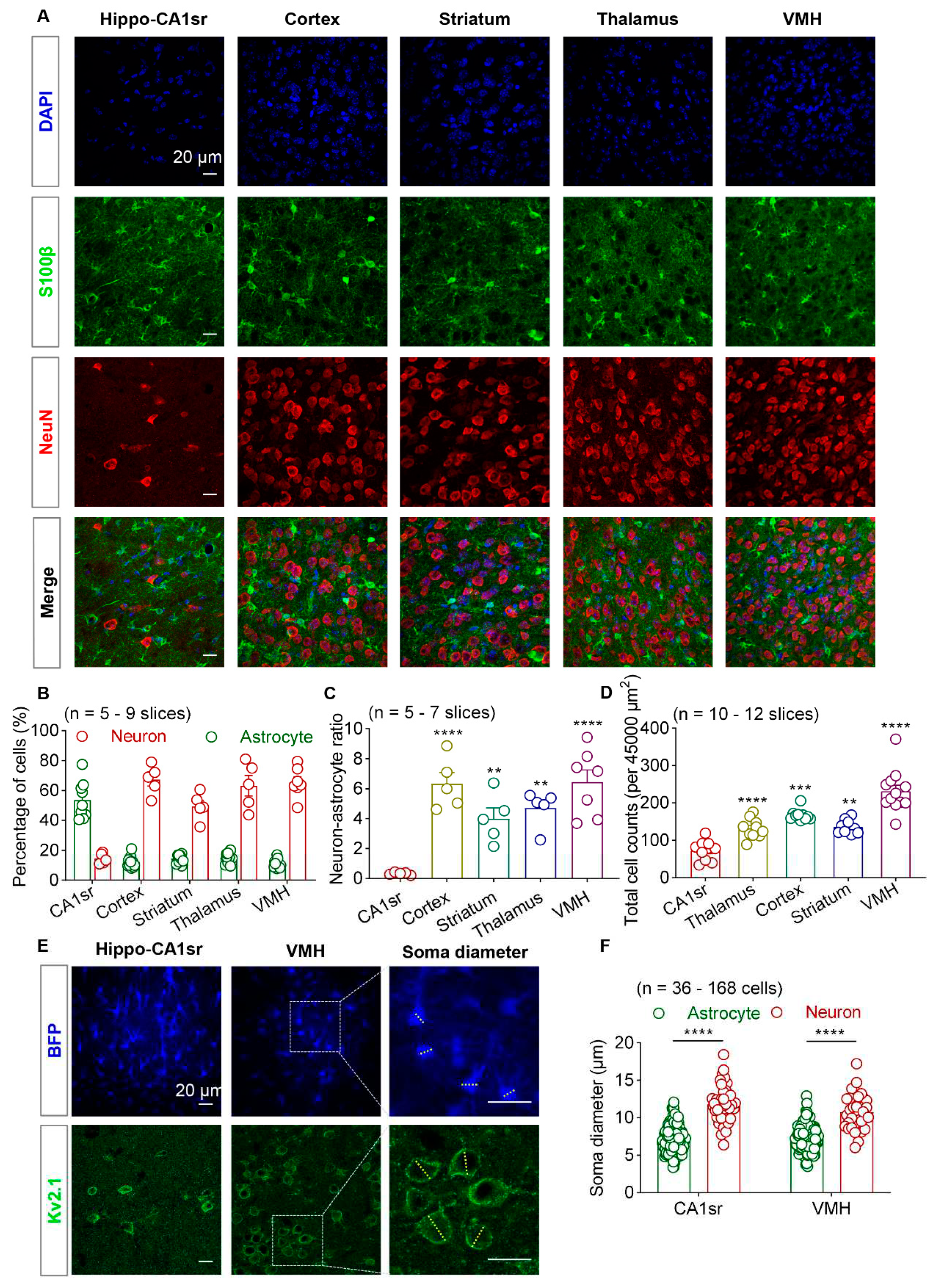 Preprints 87551 g001