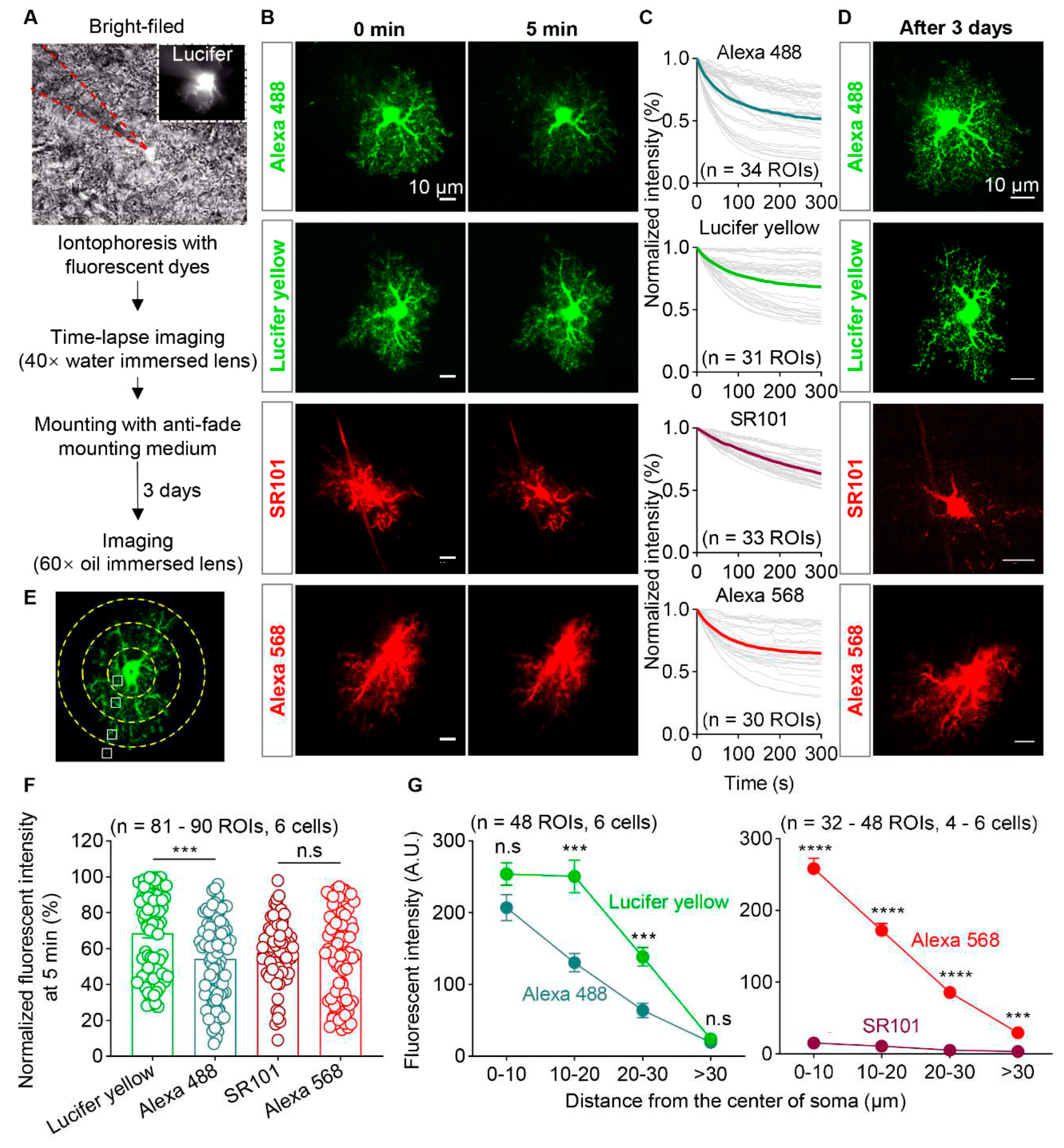 Preprints 87551 g003