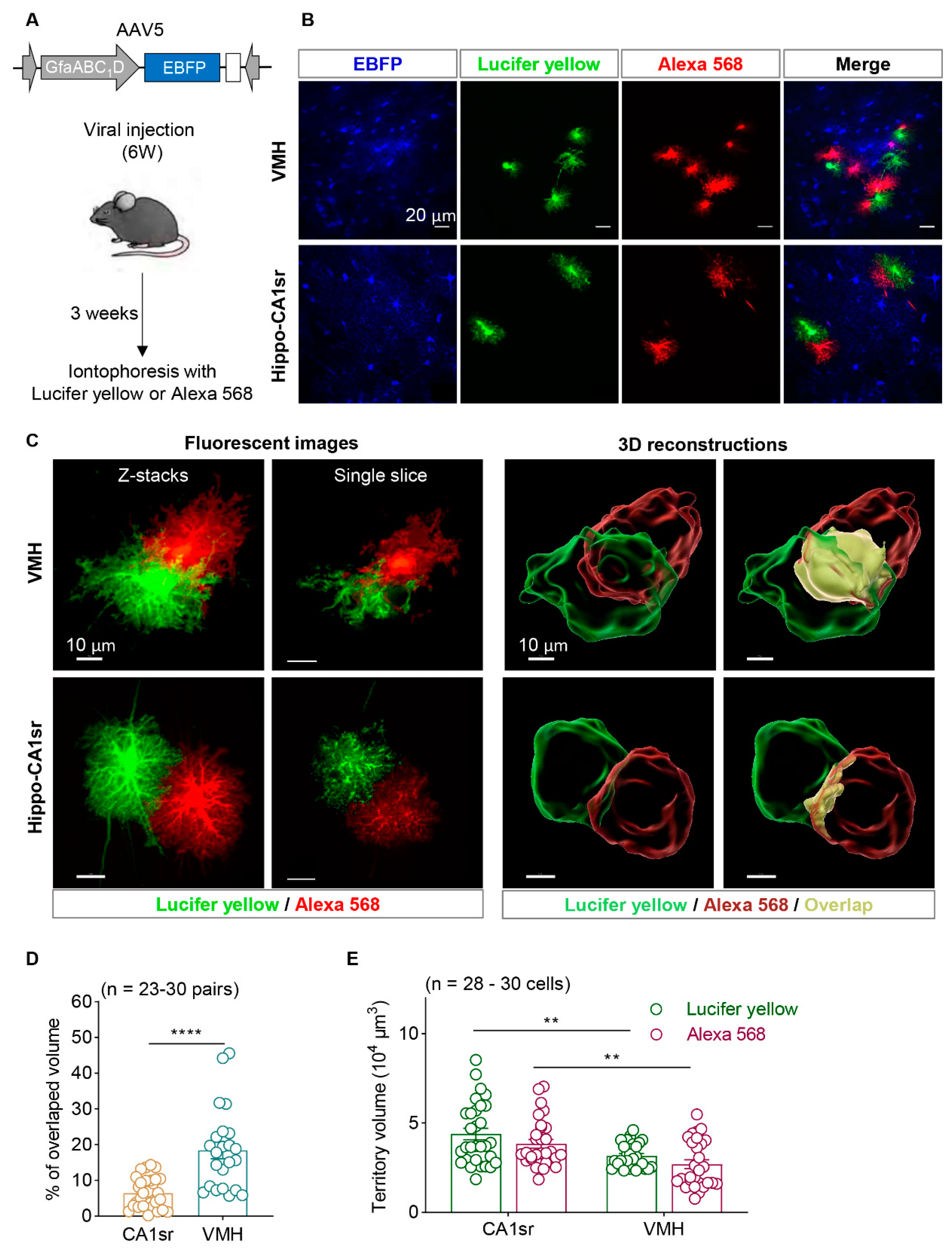 Preprints 87551 g004