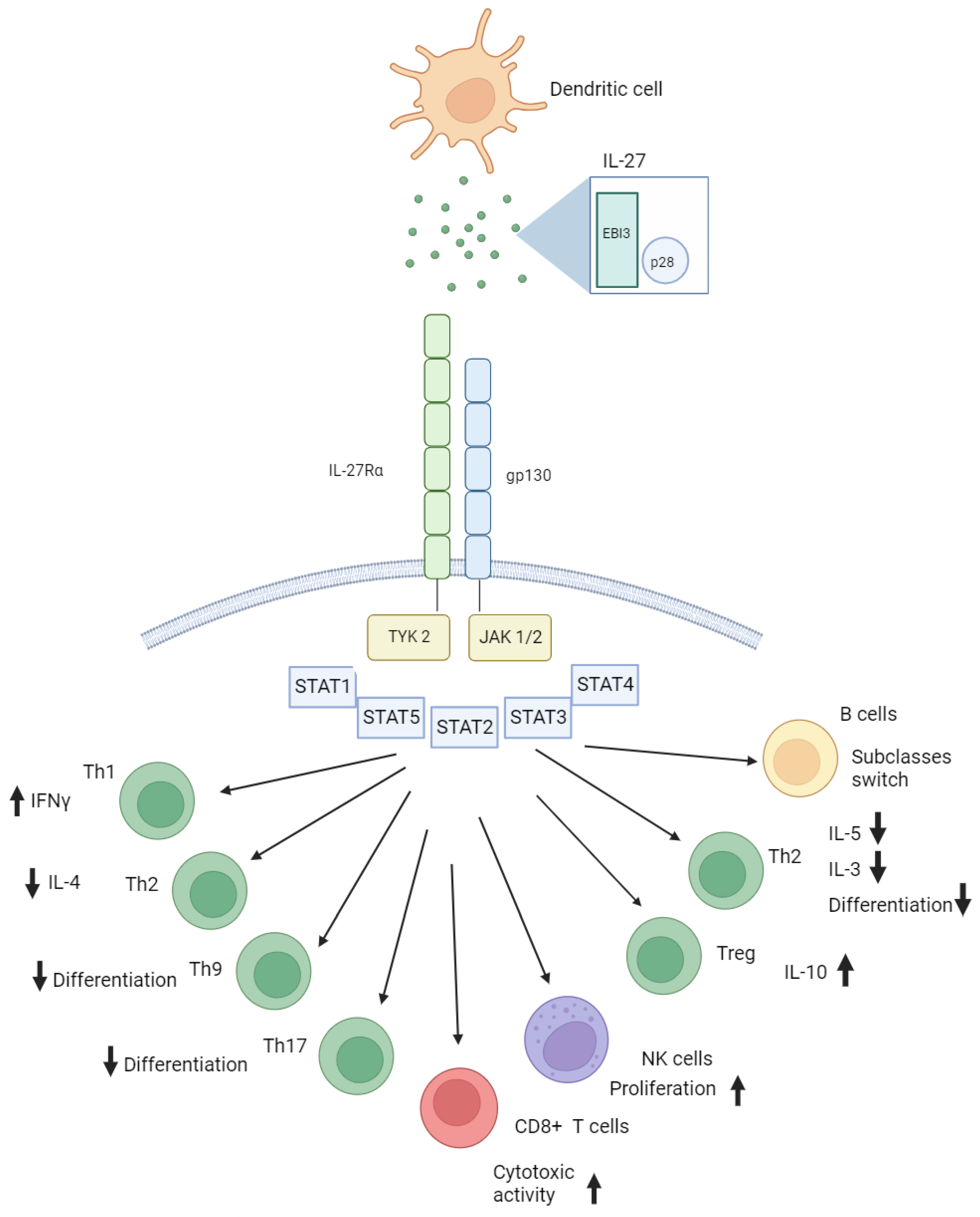 Preprints 107788 g001