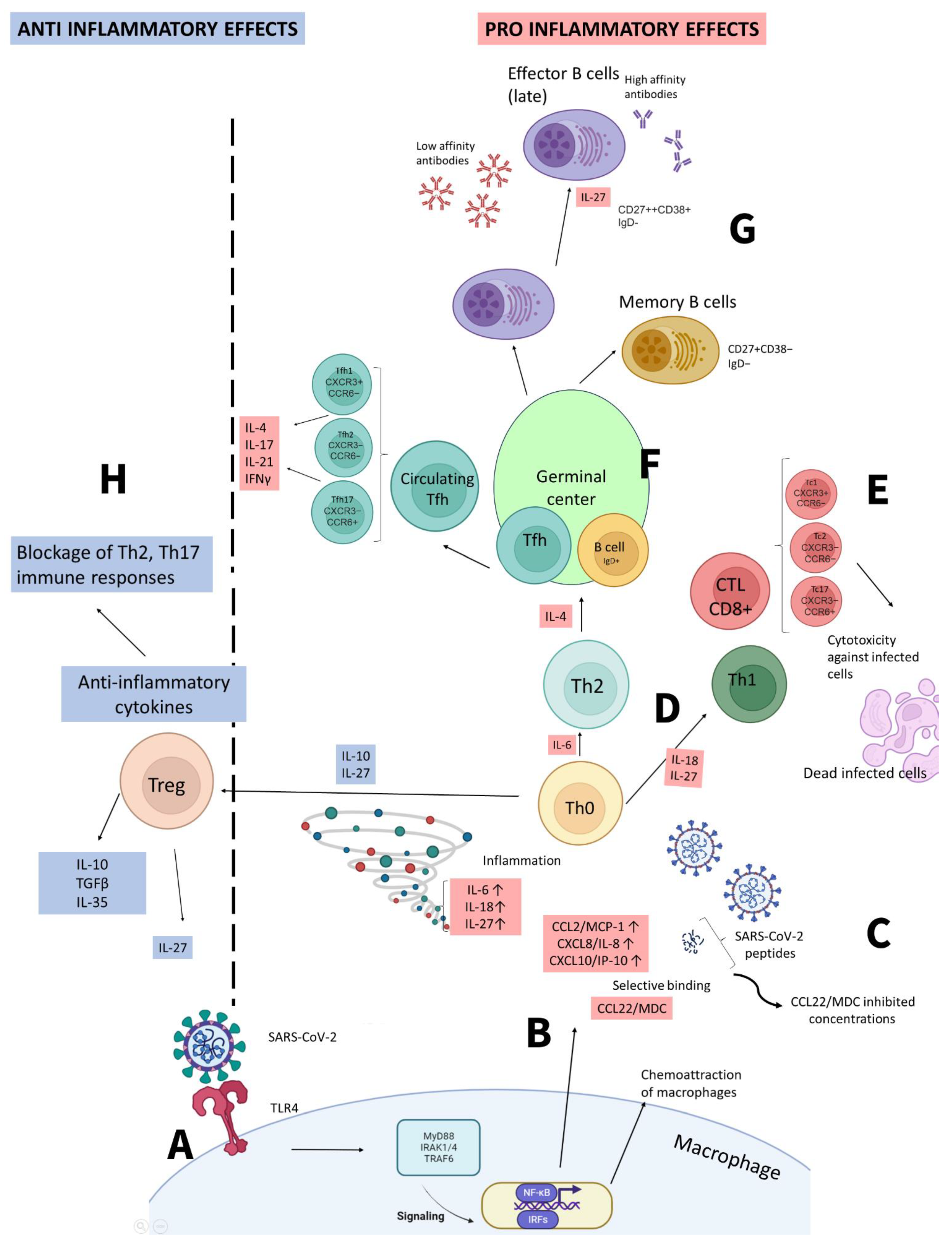 Preprints 107788 g002