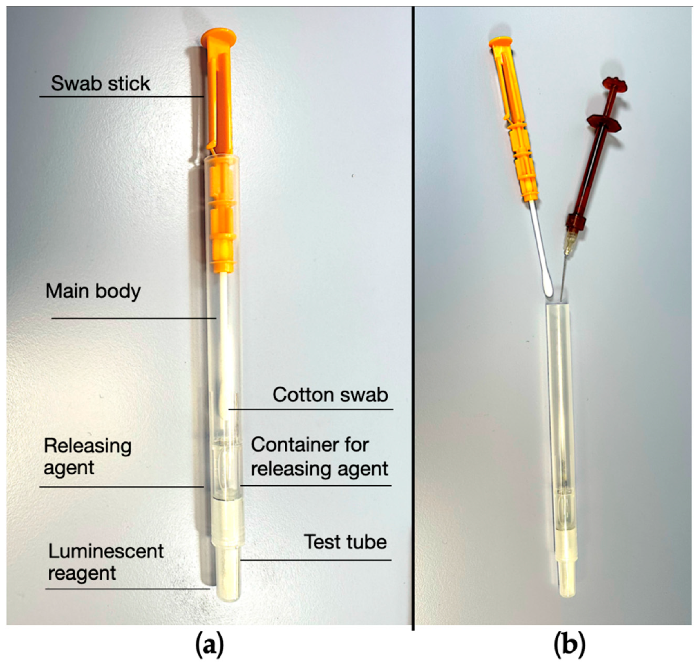 Preprints 98520 g002