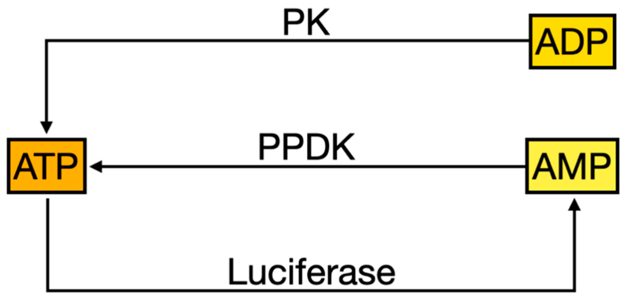 Preprints 98520 g004