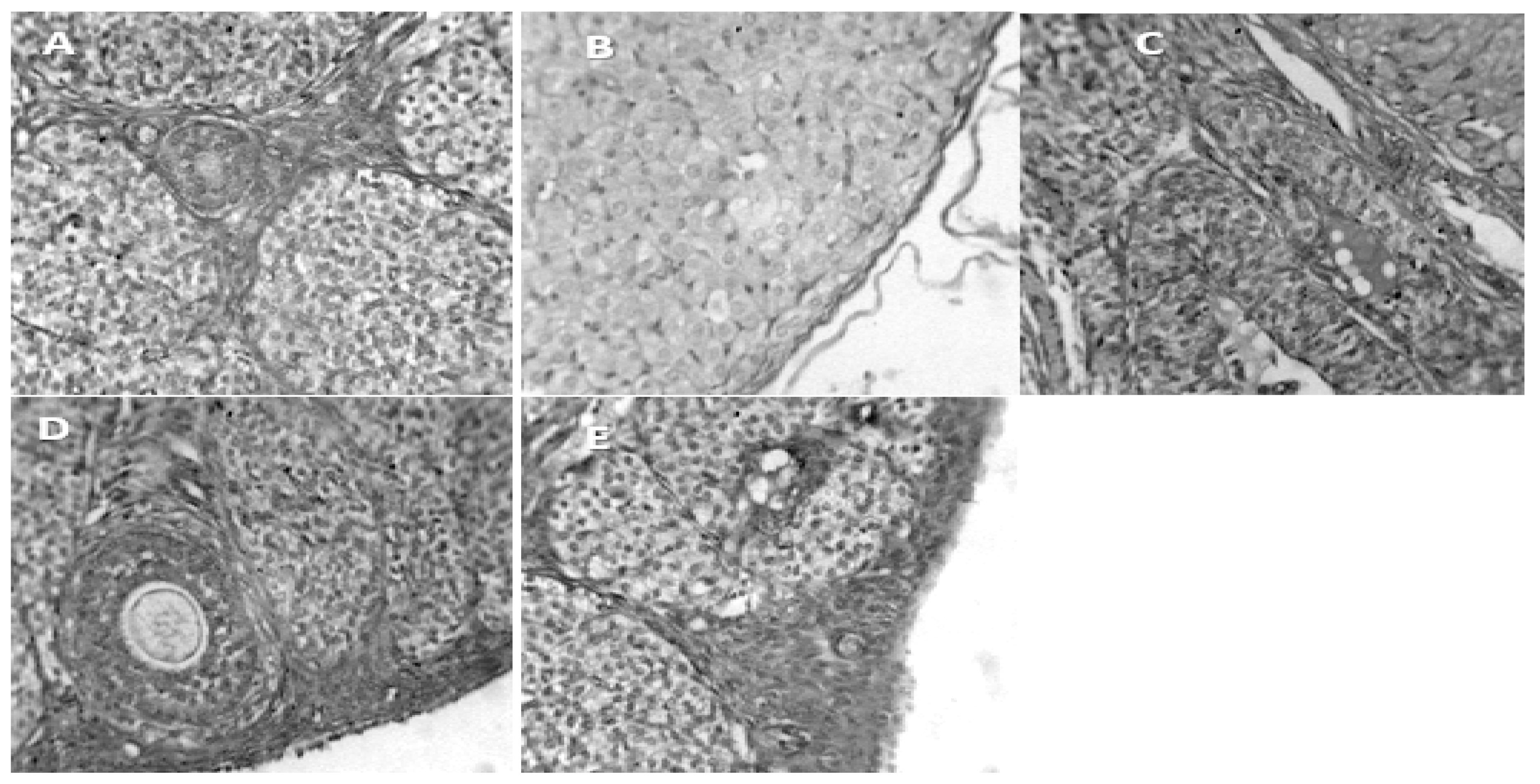 Preprints 120192 g002