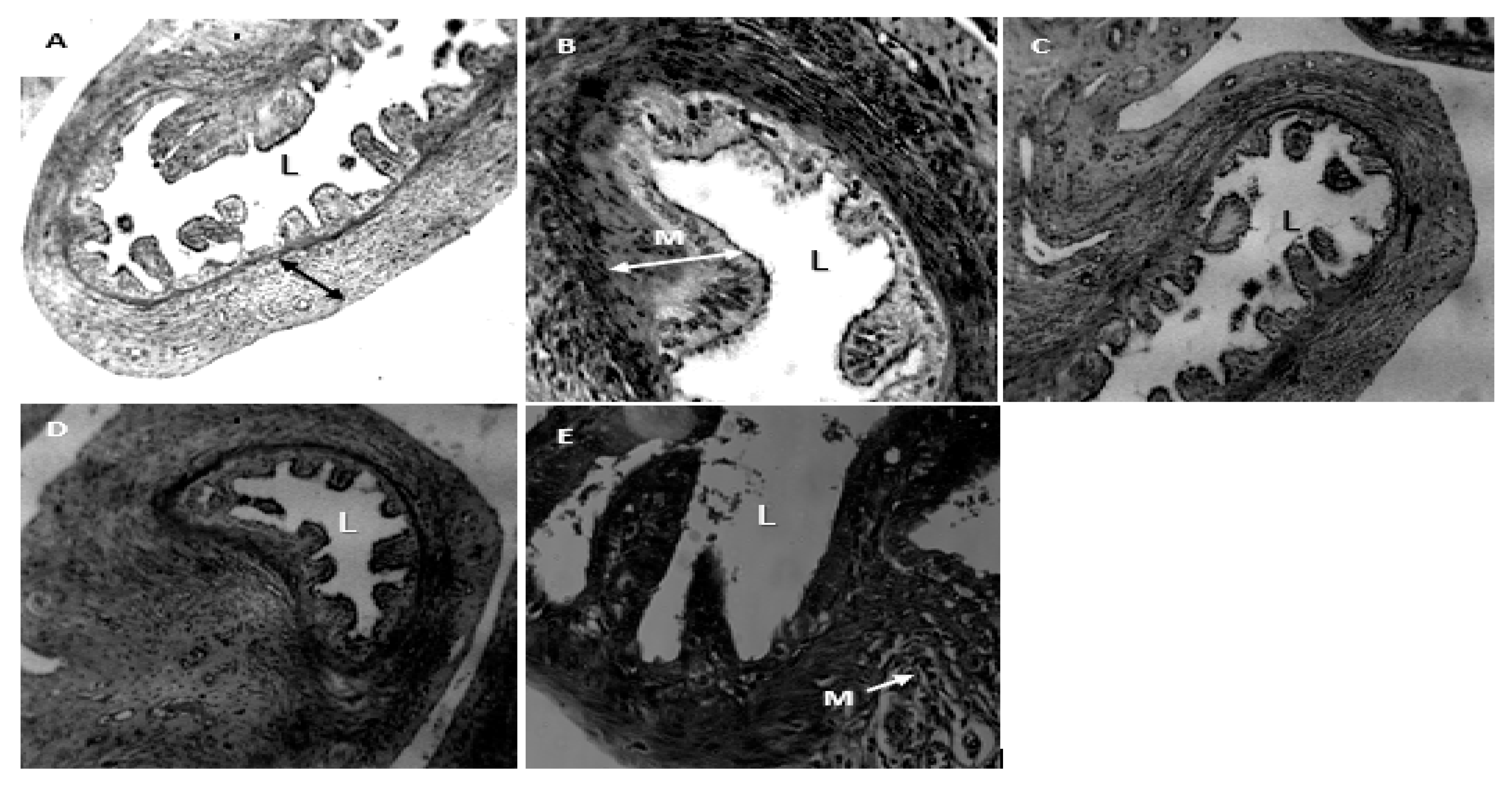 Preprints 120192 g003